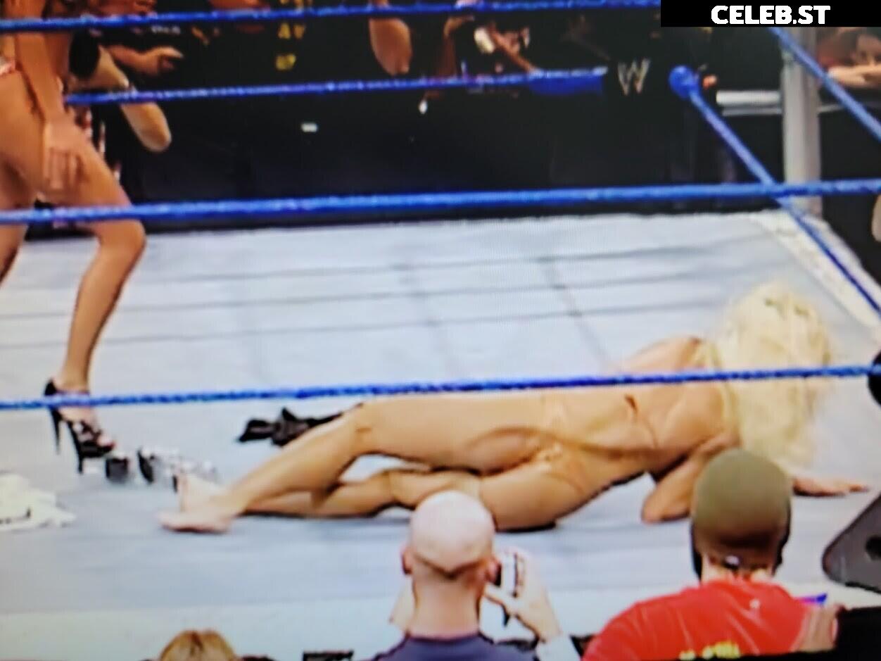 WWE Torrie Wilson Image 4410506