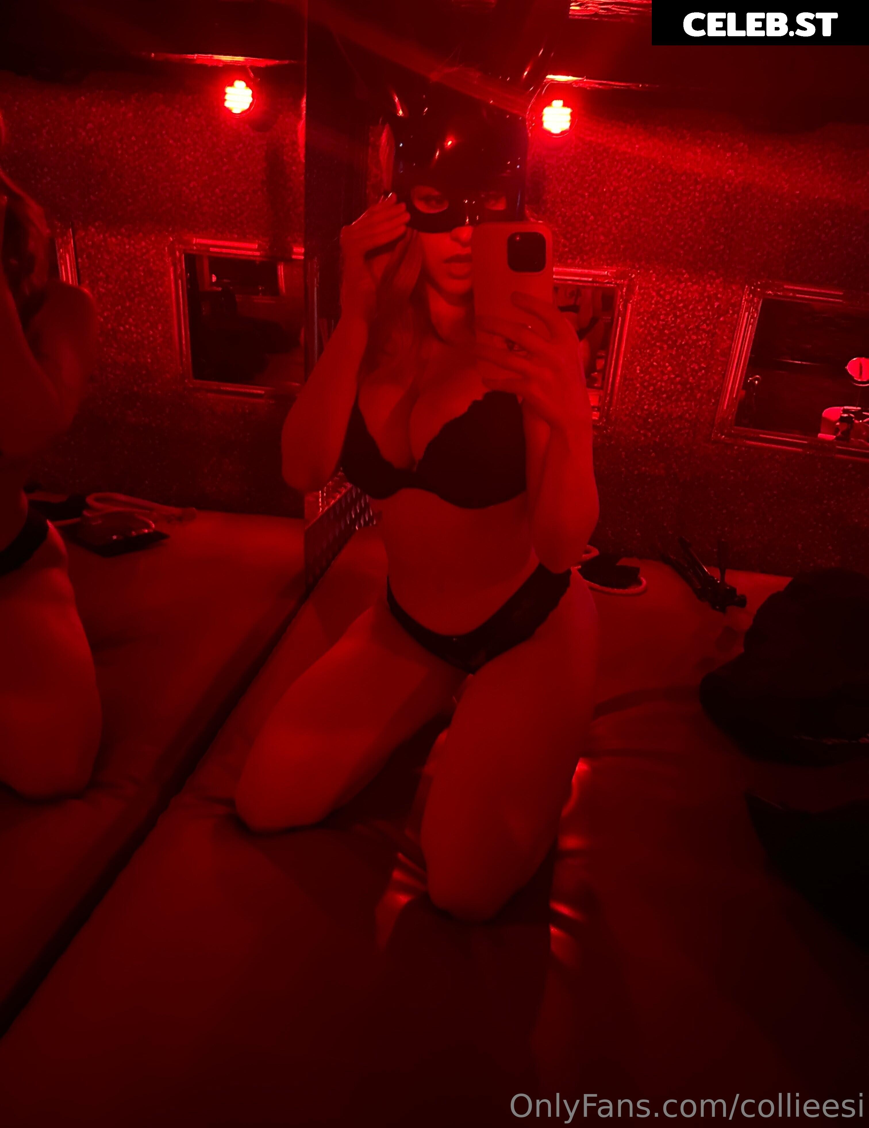 collieesi / colleesi11 / collie_twitch Image 4410530
