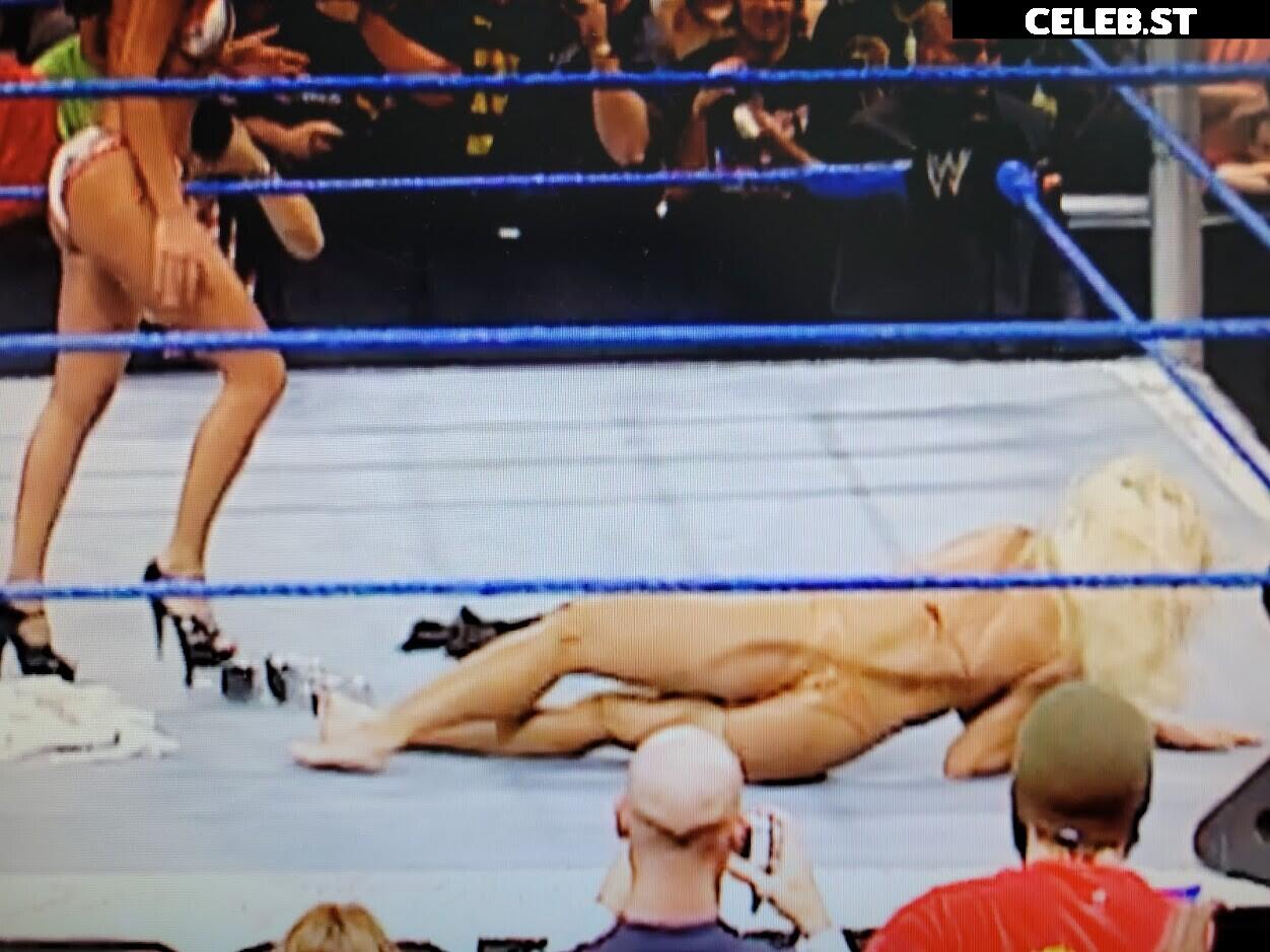 WWE Torrie Wilson Image 4410520