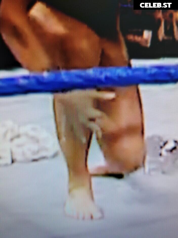 WWE Torrie Wilson Image 4410700