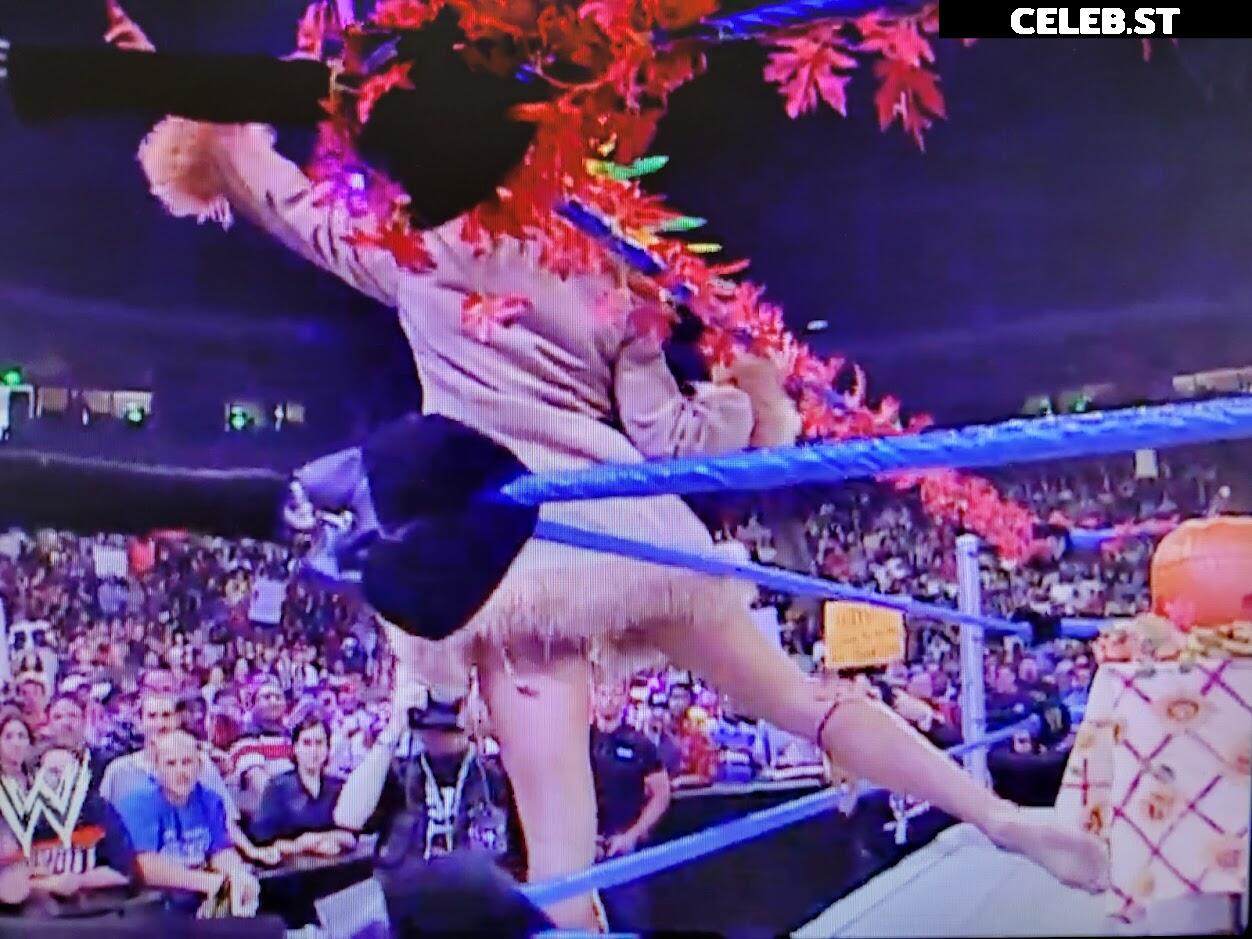 WWE Torrie Wilson Image 4405859