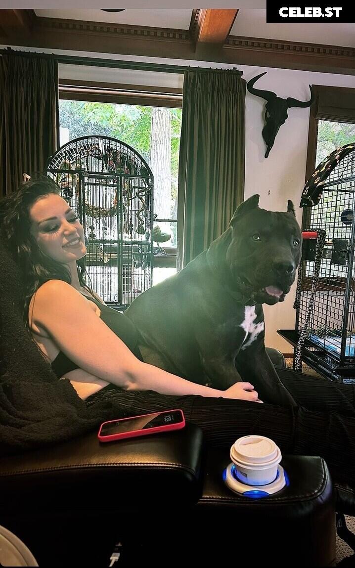 WWE's Paige / Saraya Bevis Image 4405309