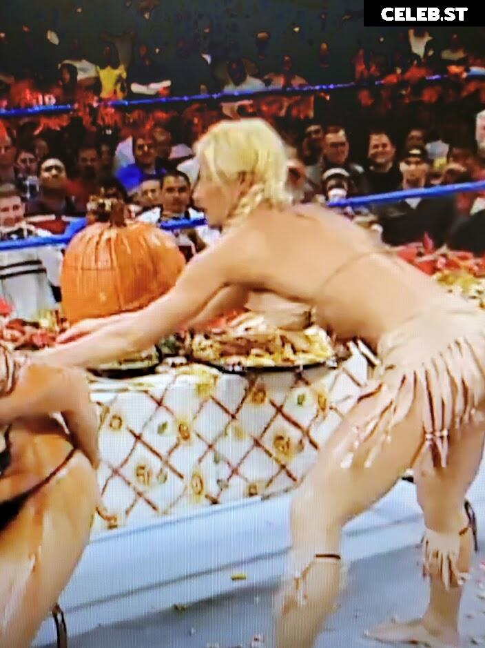 WWE Torrie Wilson Image 4406217