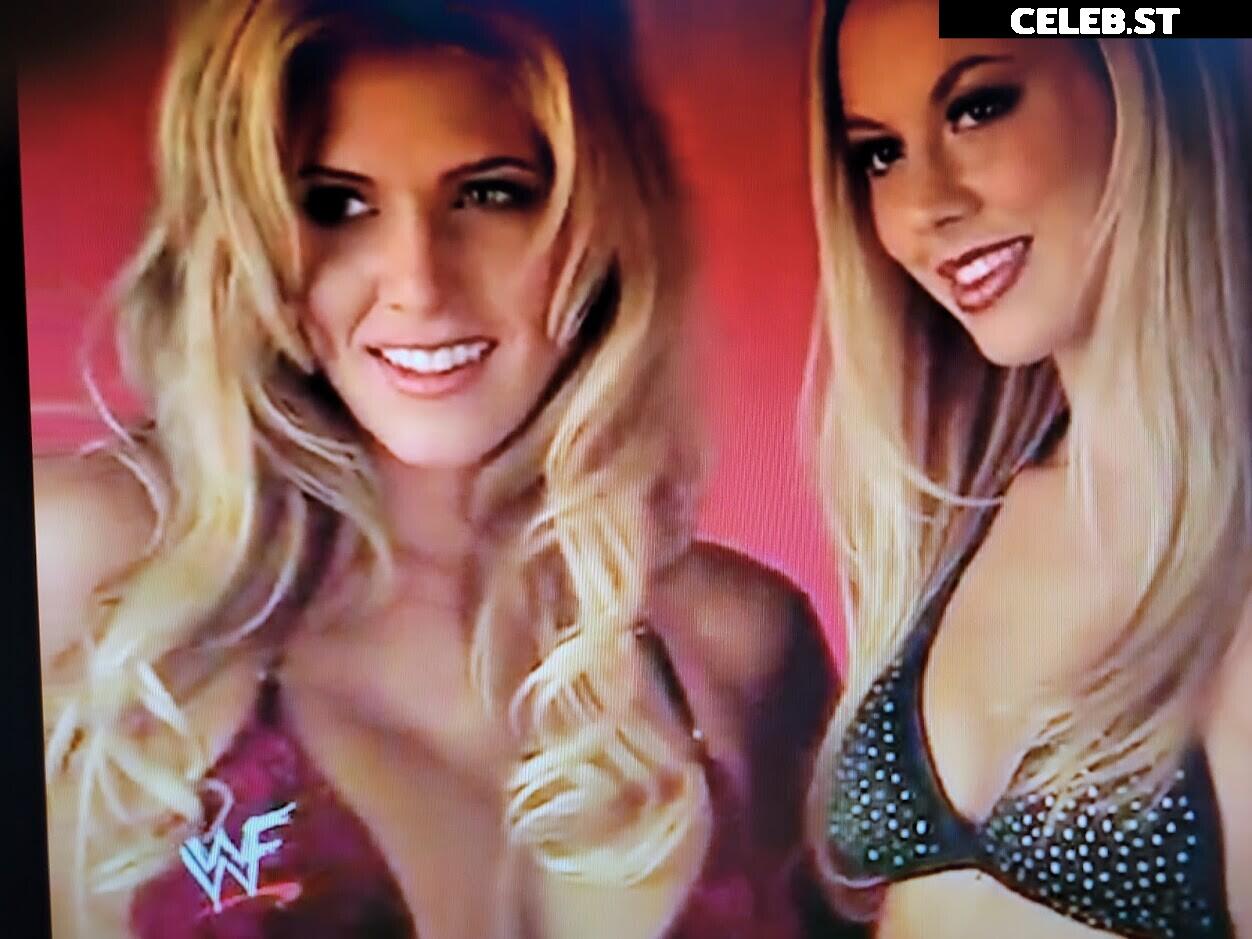 WWE Torrie Wilson Image 4406978