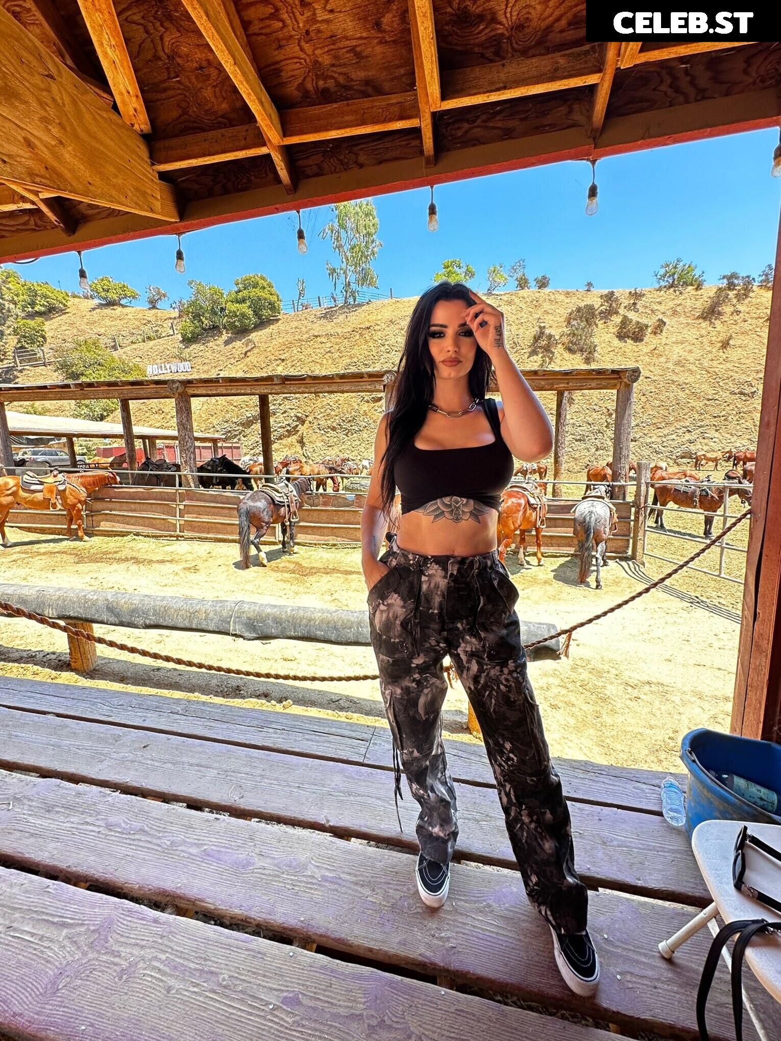 WWE's Paige / Saraya Bevis Image 4404460