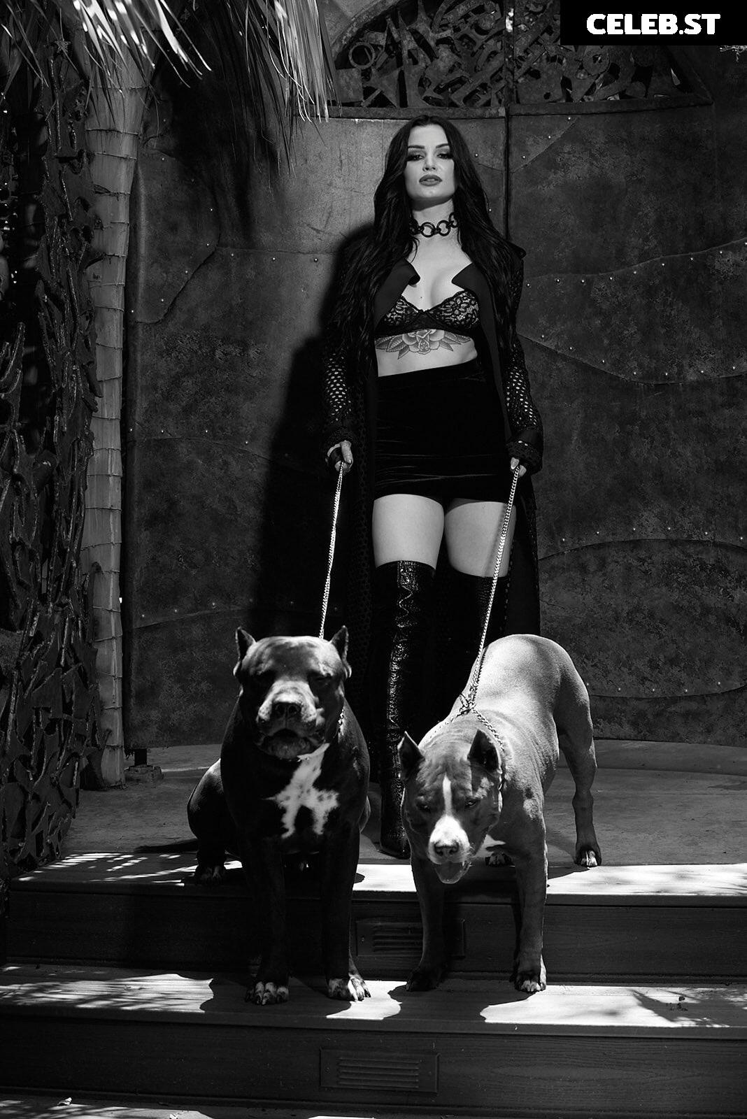 WWE's Paige / Saraya Bevis Image 4404715