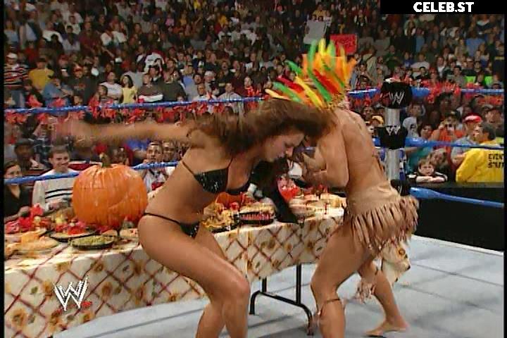 WWE Torrie Wilson Image 4404941