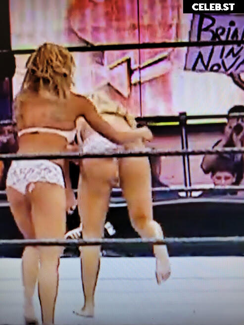 WWE Torrie Wilson Image 4403593