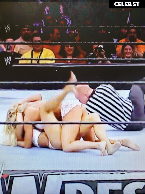 WWE Torrie Wilson Image 4403904