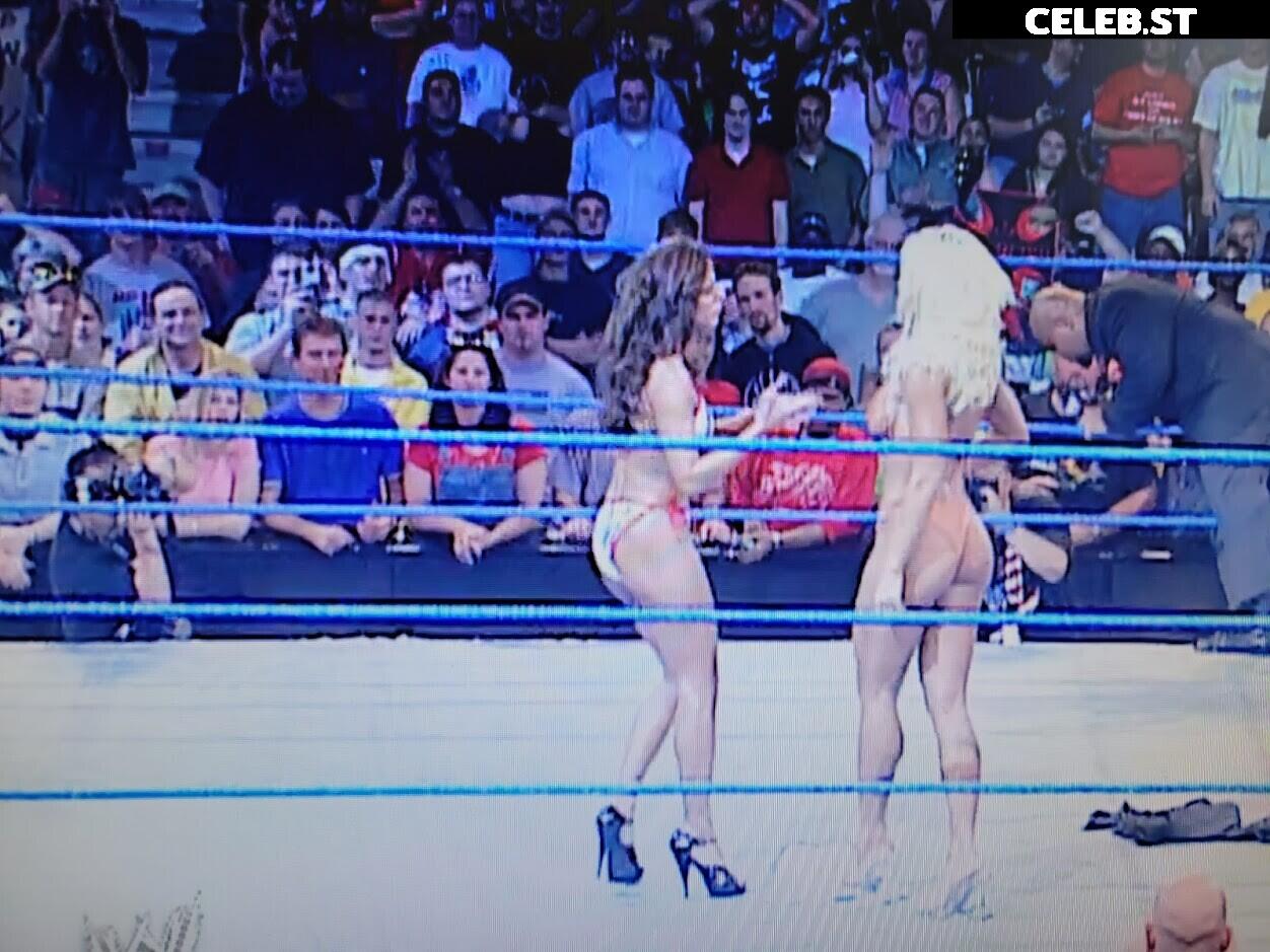 WWE Torrie Wilson Image 4409864