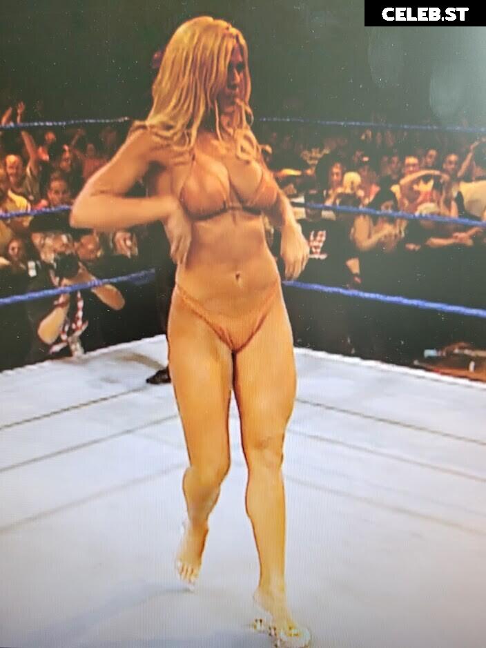 WWE Torrie Wilson Image 4409815