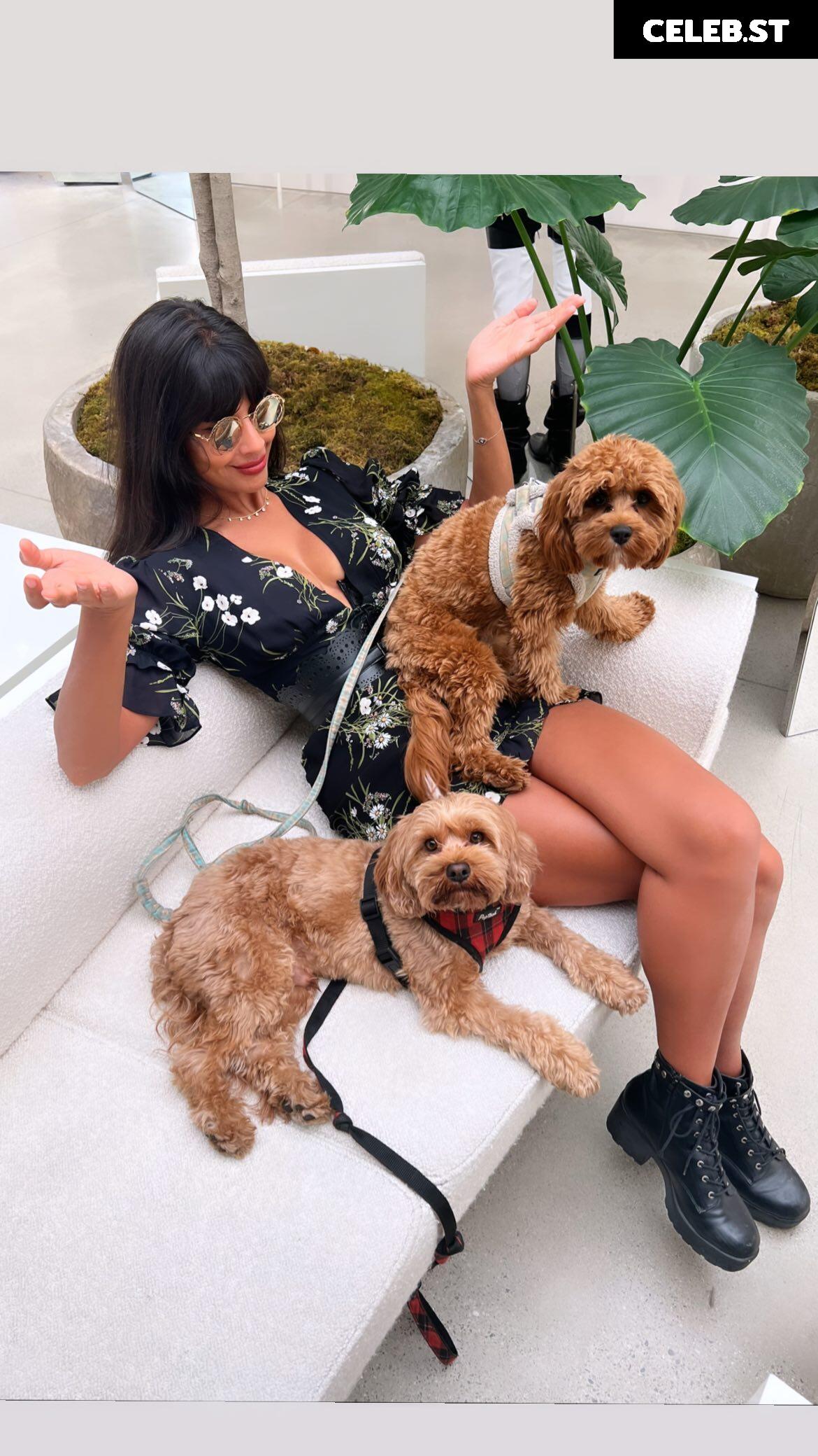 Jameela Jamil Image 4409662