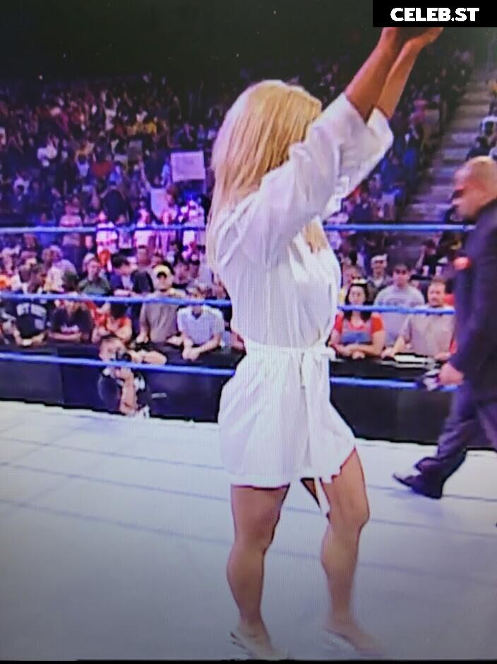 WWE Torrie Wilson Image 4408898