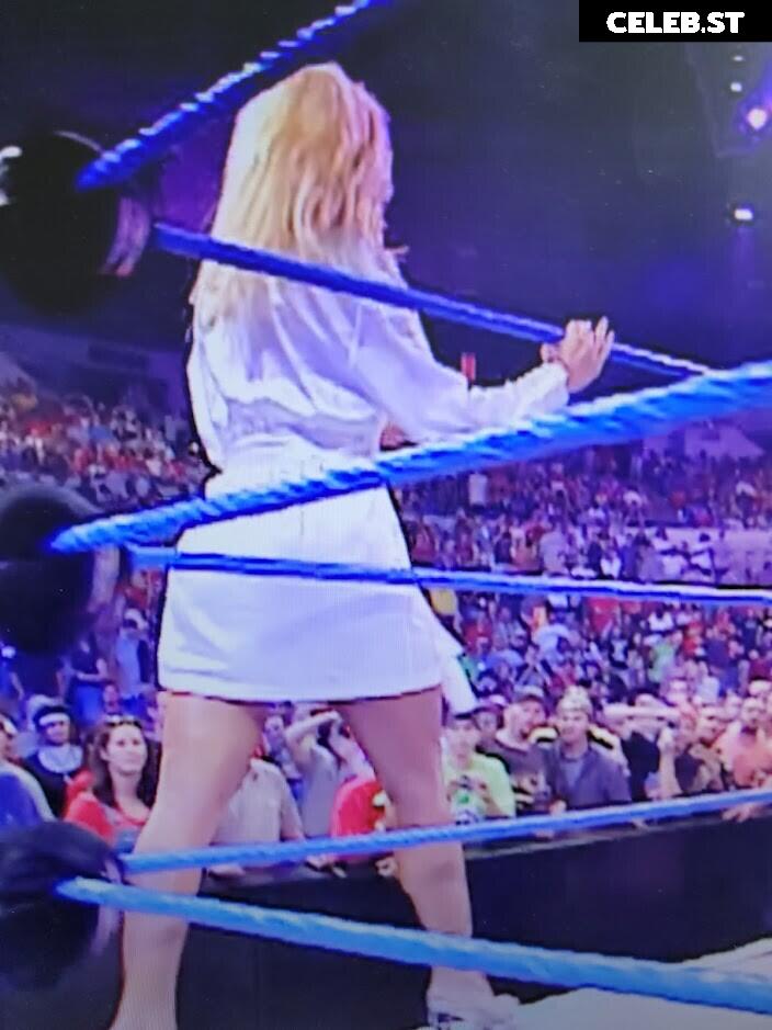 WWE Torrie Wilson Image 4408698
