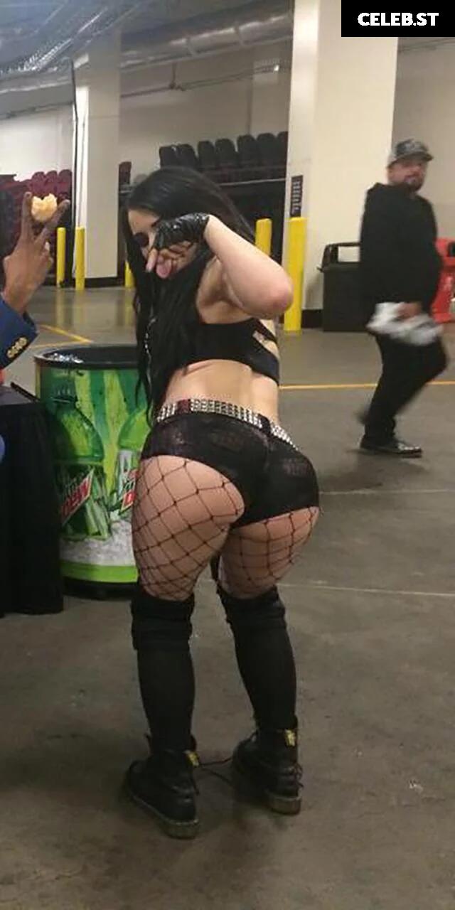 WWE's Paige / Saraya Bevis Image 4408259