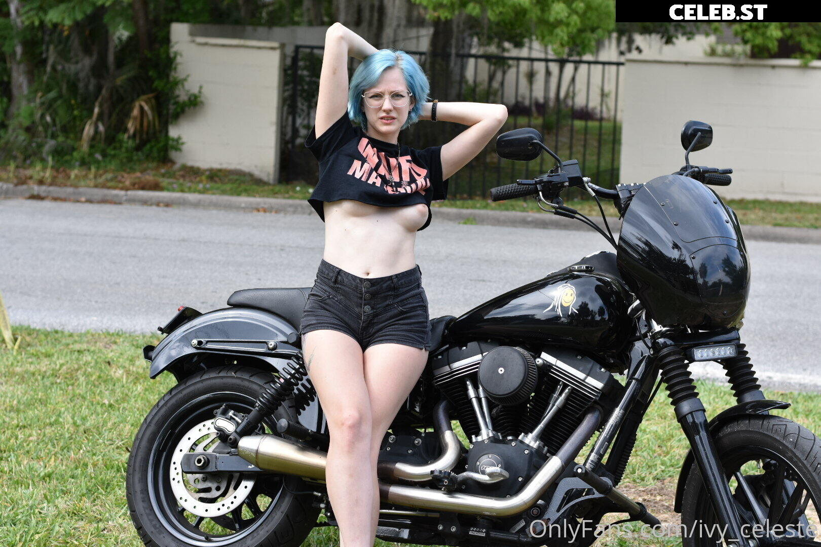 Ivy Celeste Image 458133