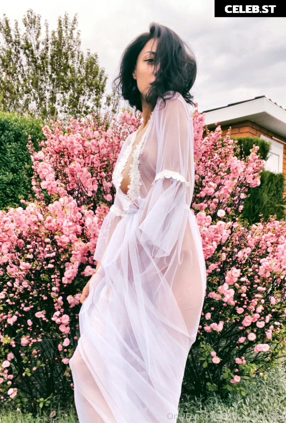 dorasexplorer / Darsy Image 458068