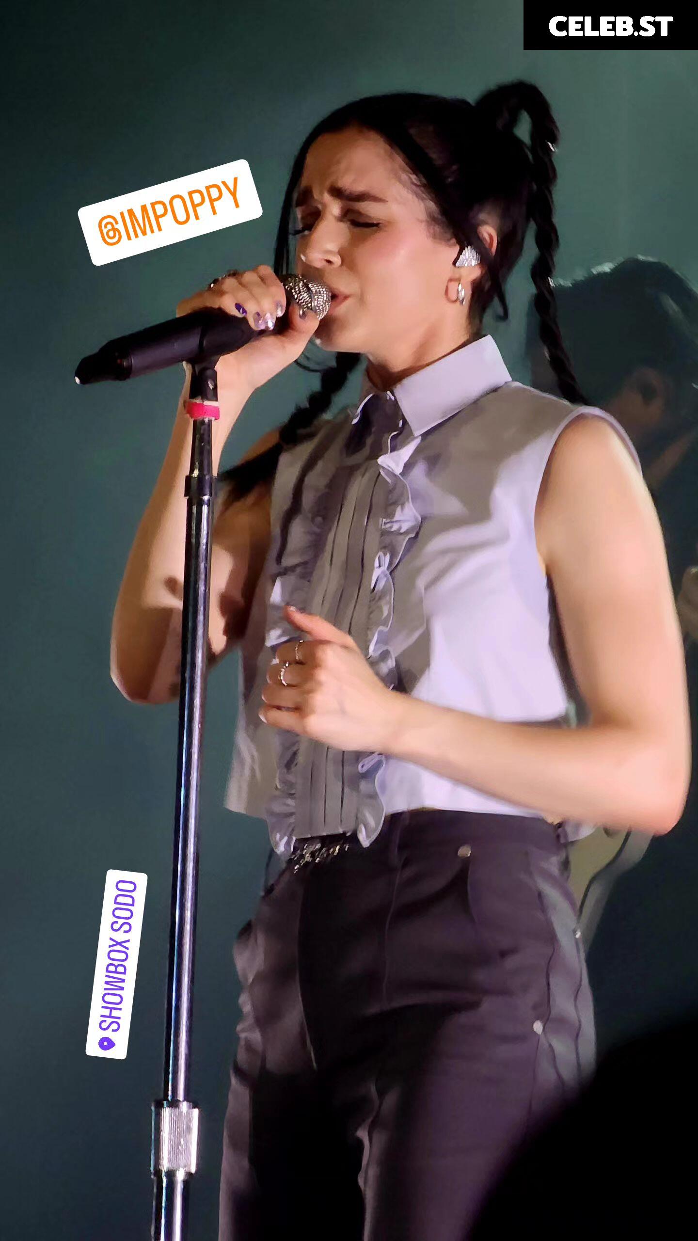 Poppy / That Poppy Image 4589637