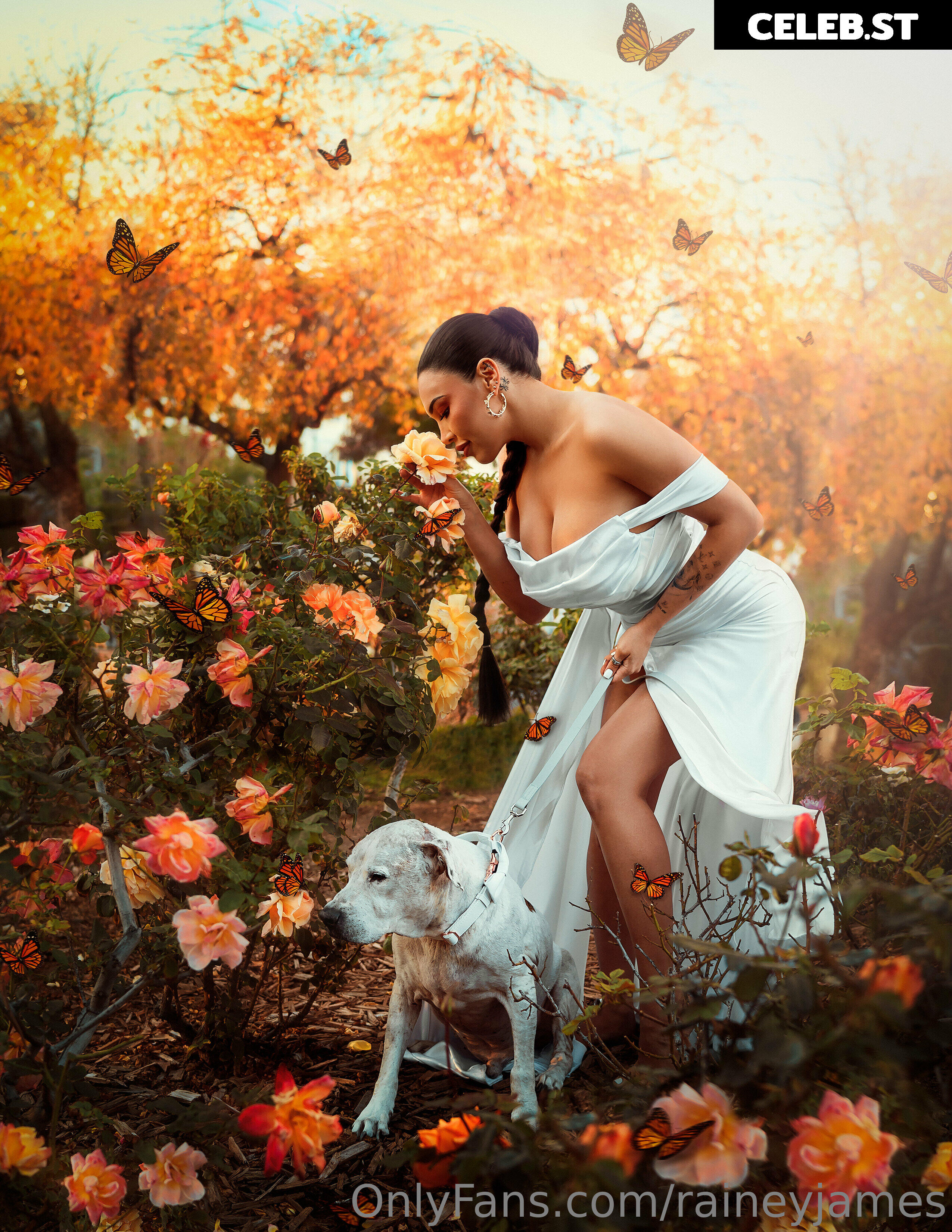 Rainey James Image 457557