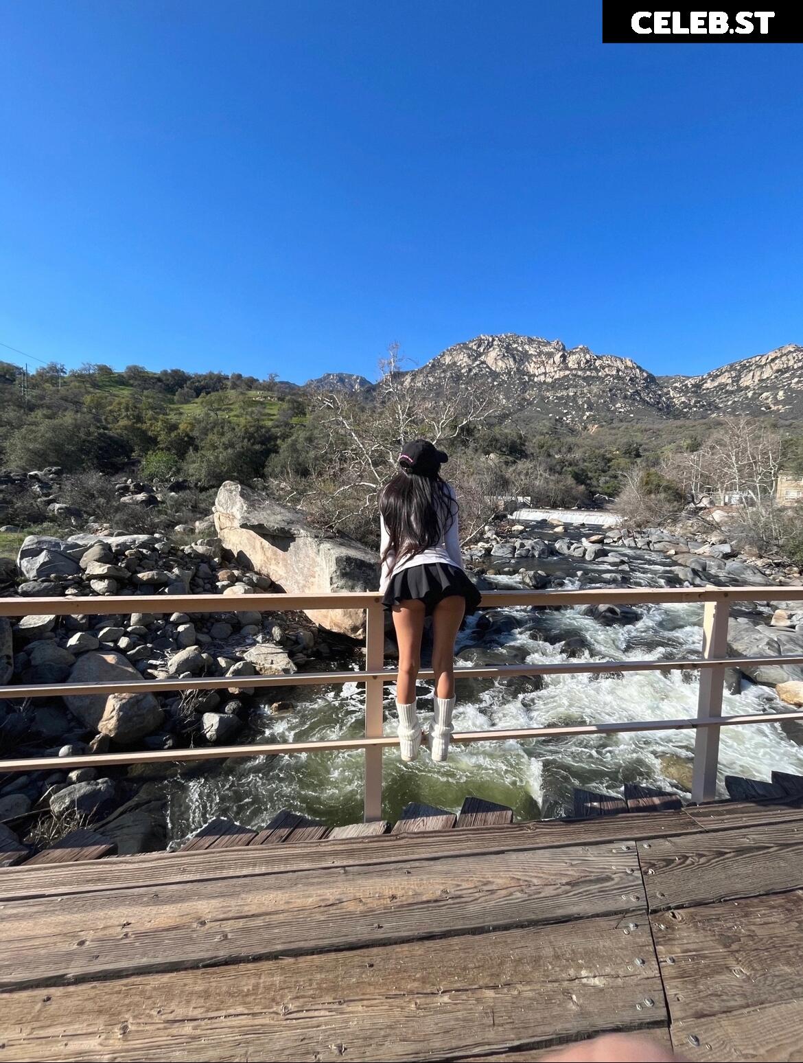 DeerTeers Image 4555070