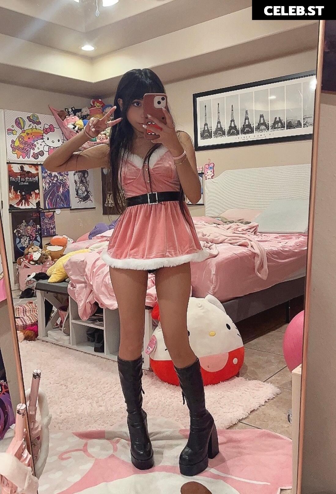 DeerTeers Image 4553238