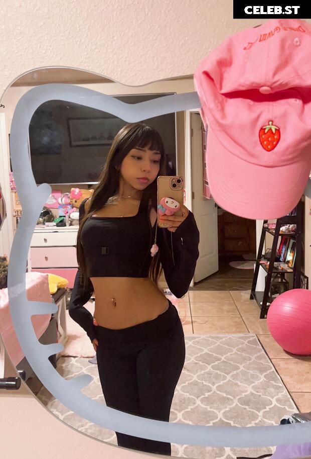 DeerTeers Image 4550827