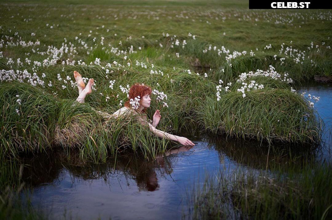 Icelandic Selkie Image 4545009
