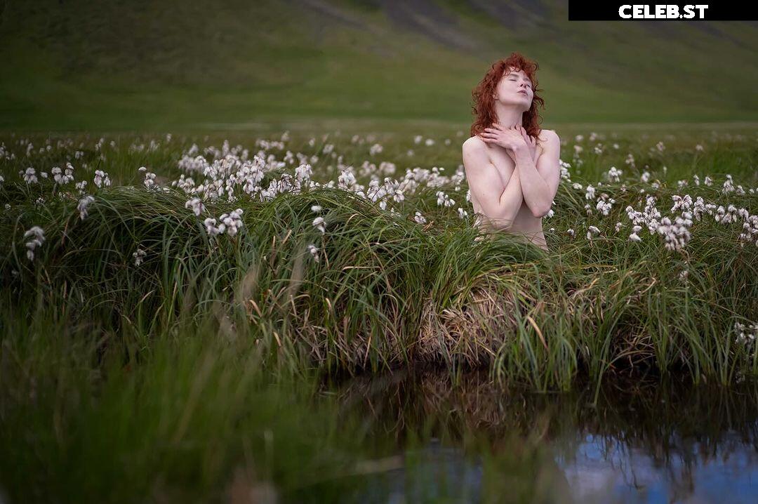 Icelandic Selkie Image 4544990