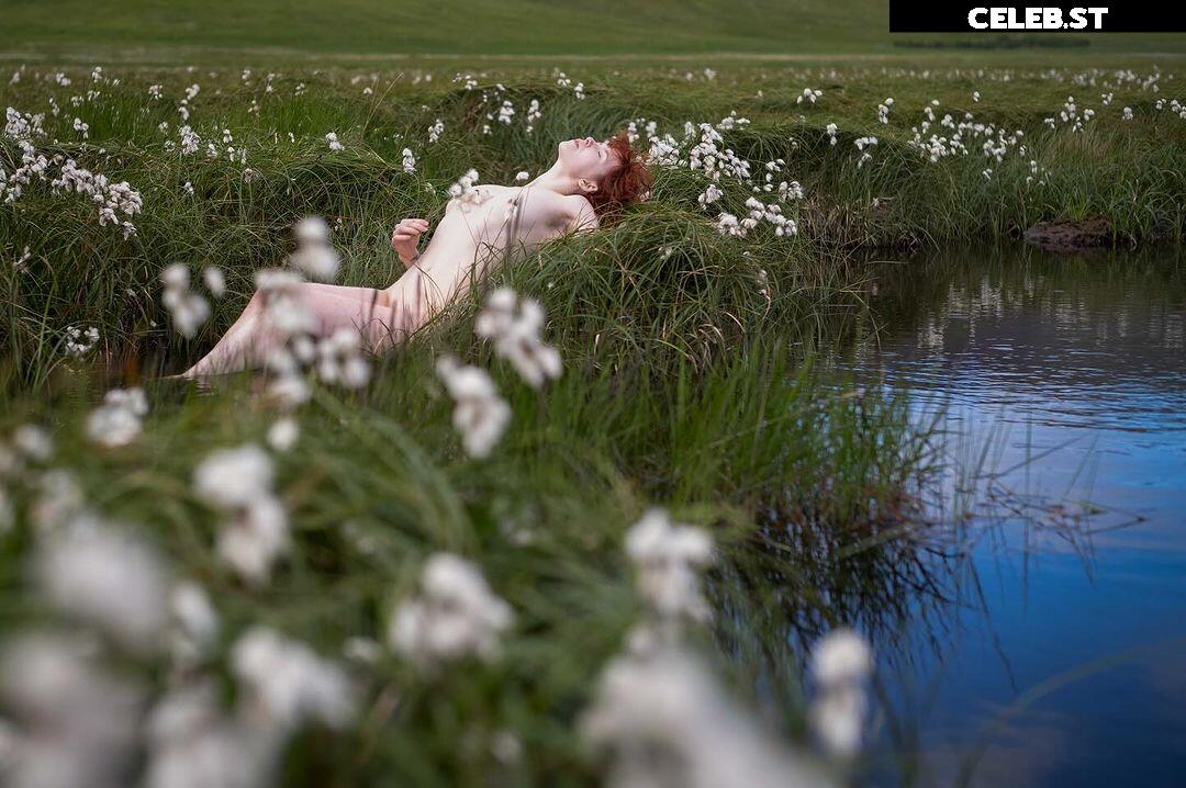 Icelandic Selkie Image 4544946