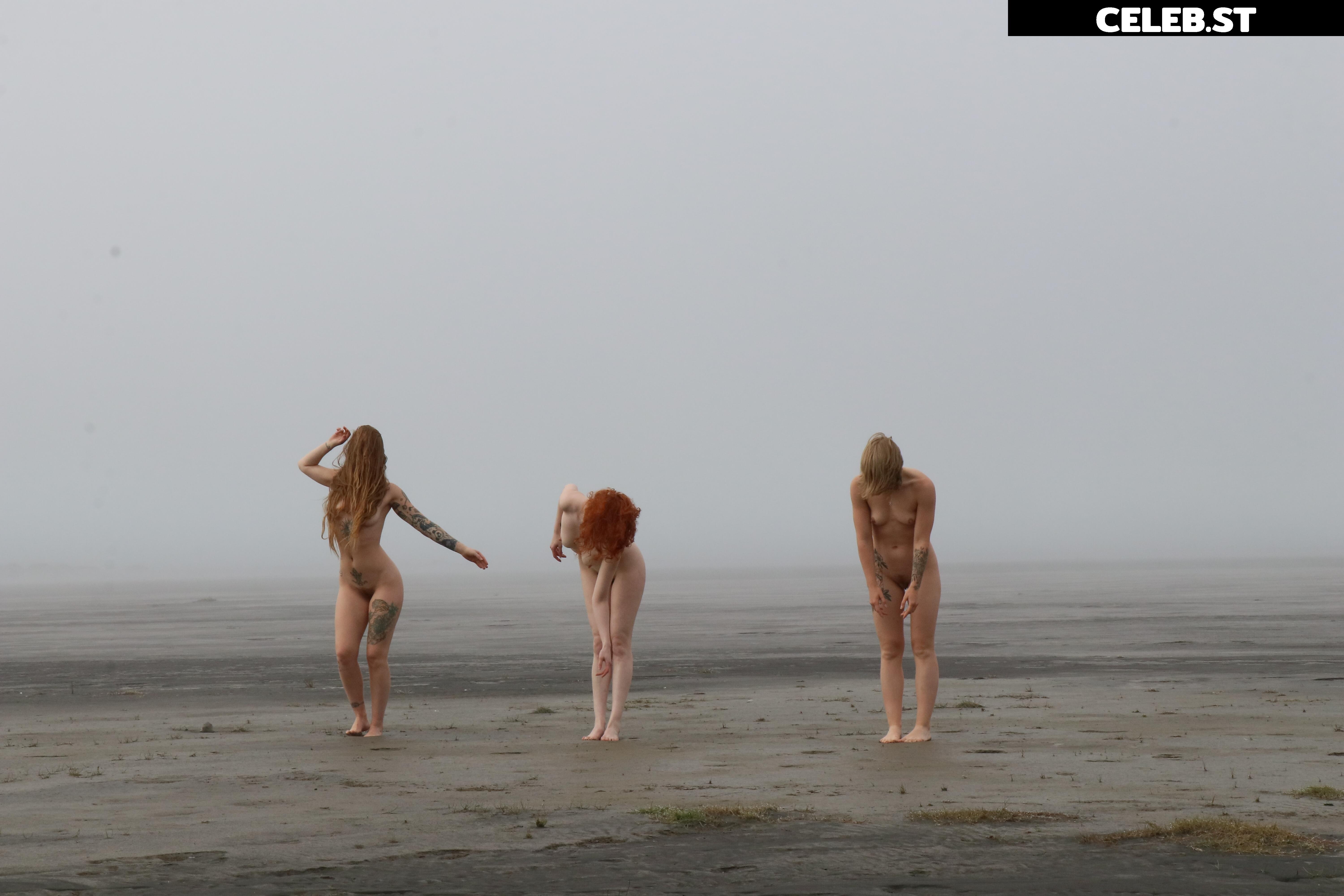 Icelandic Selkie Image 4541373