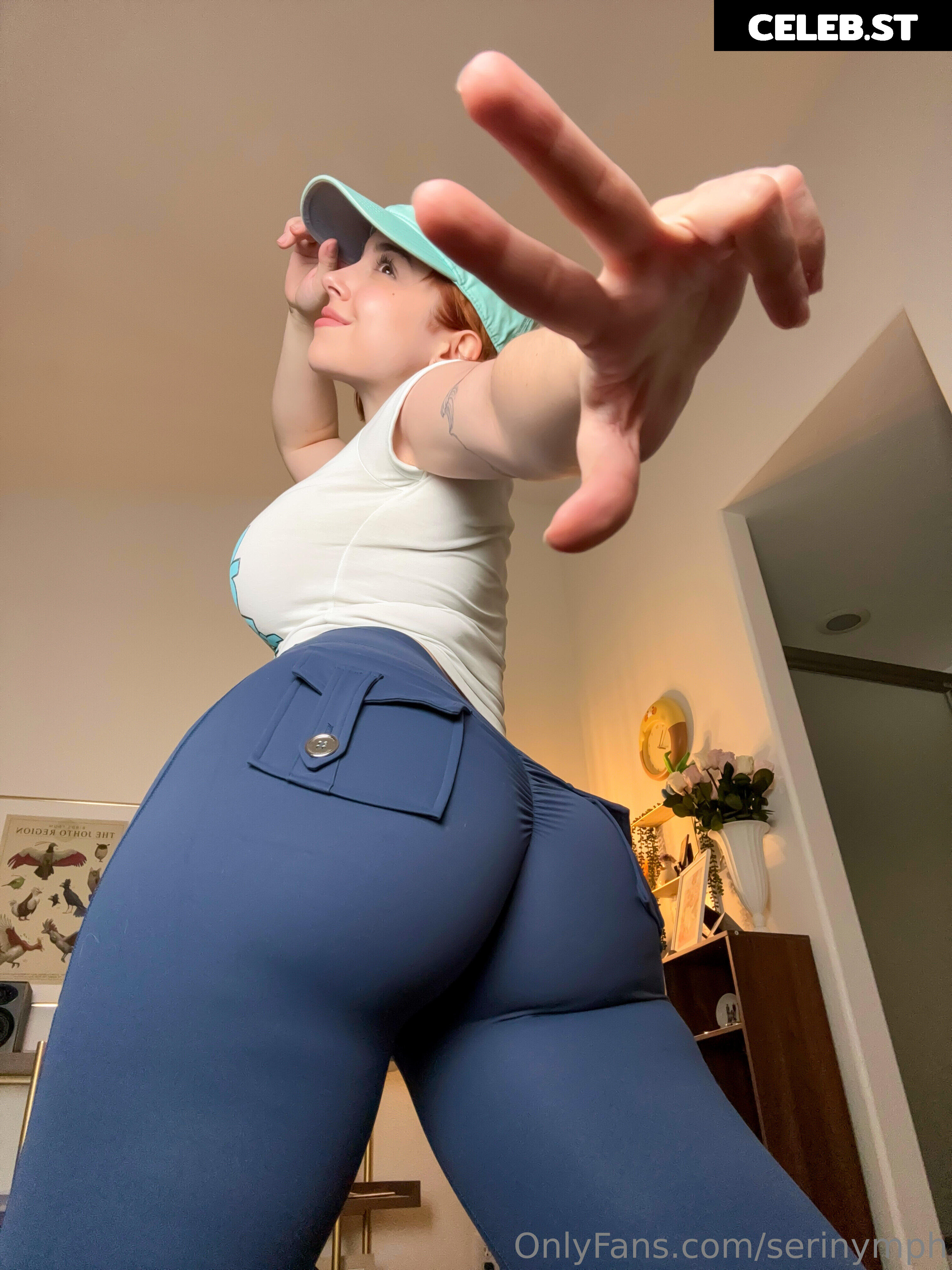 Serinide Image 4542956