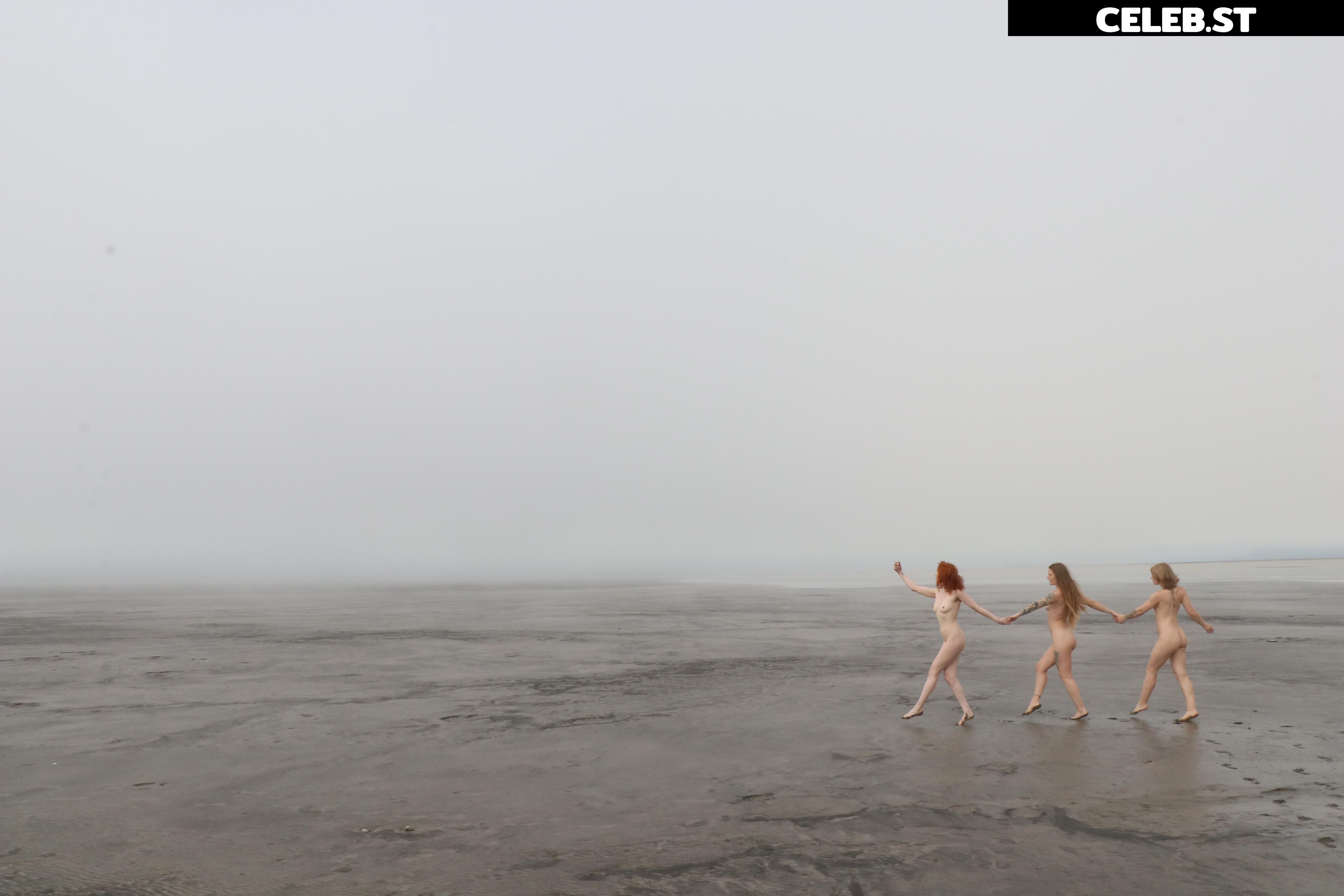Icelandic Selkie Image 4543501