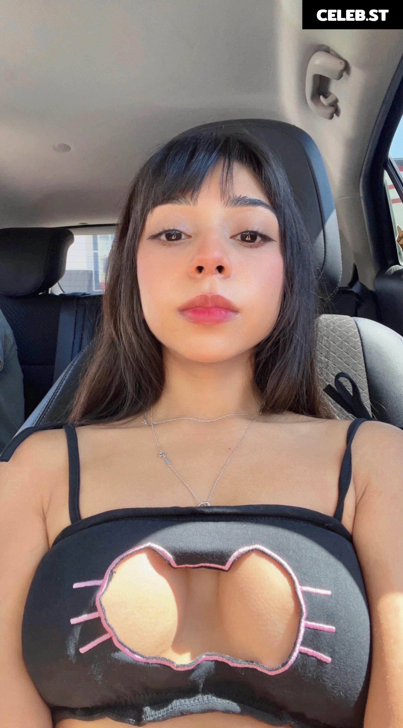 DeerTeers Image 4548661