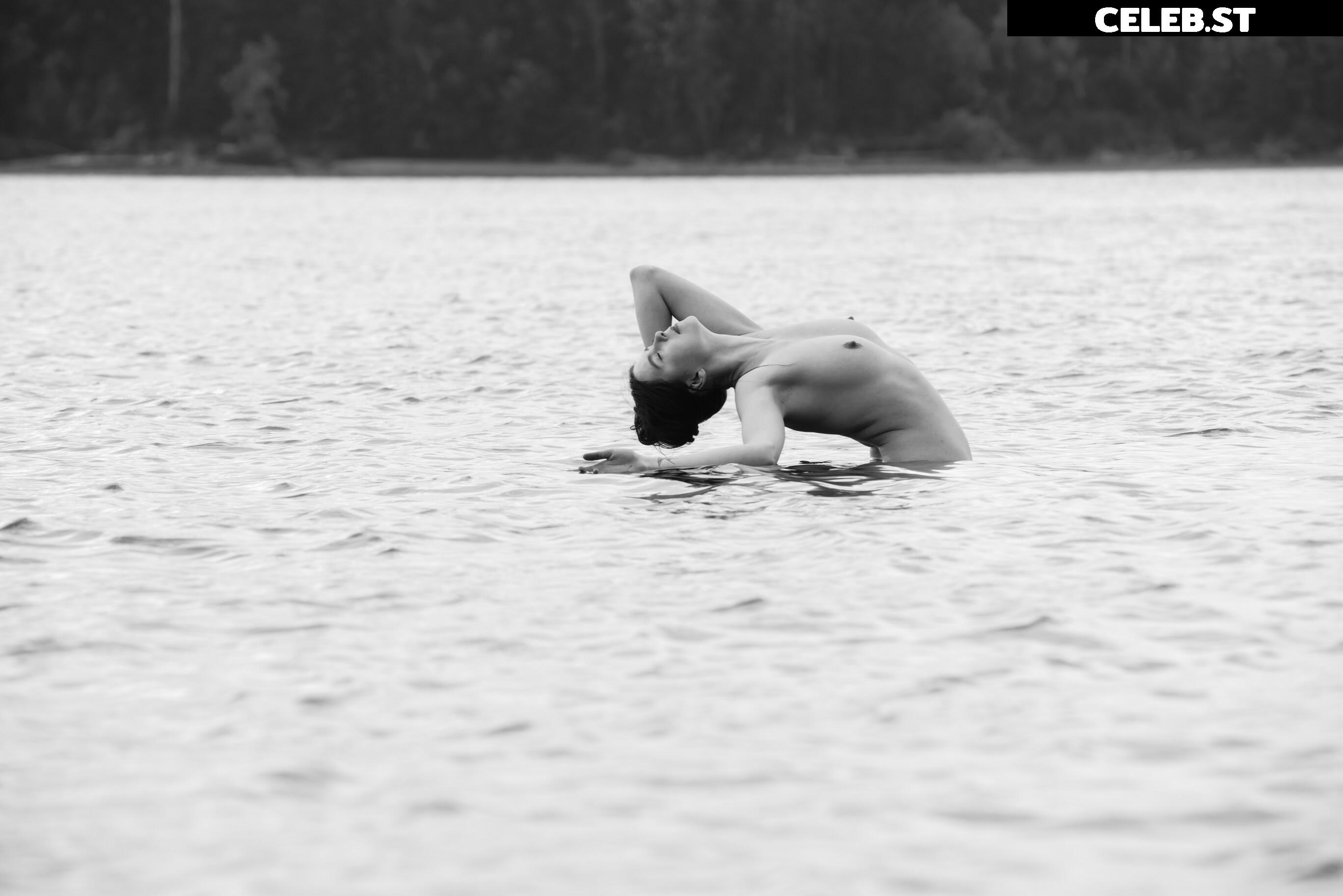 Icelandic Selkie Image 4535106