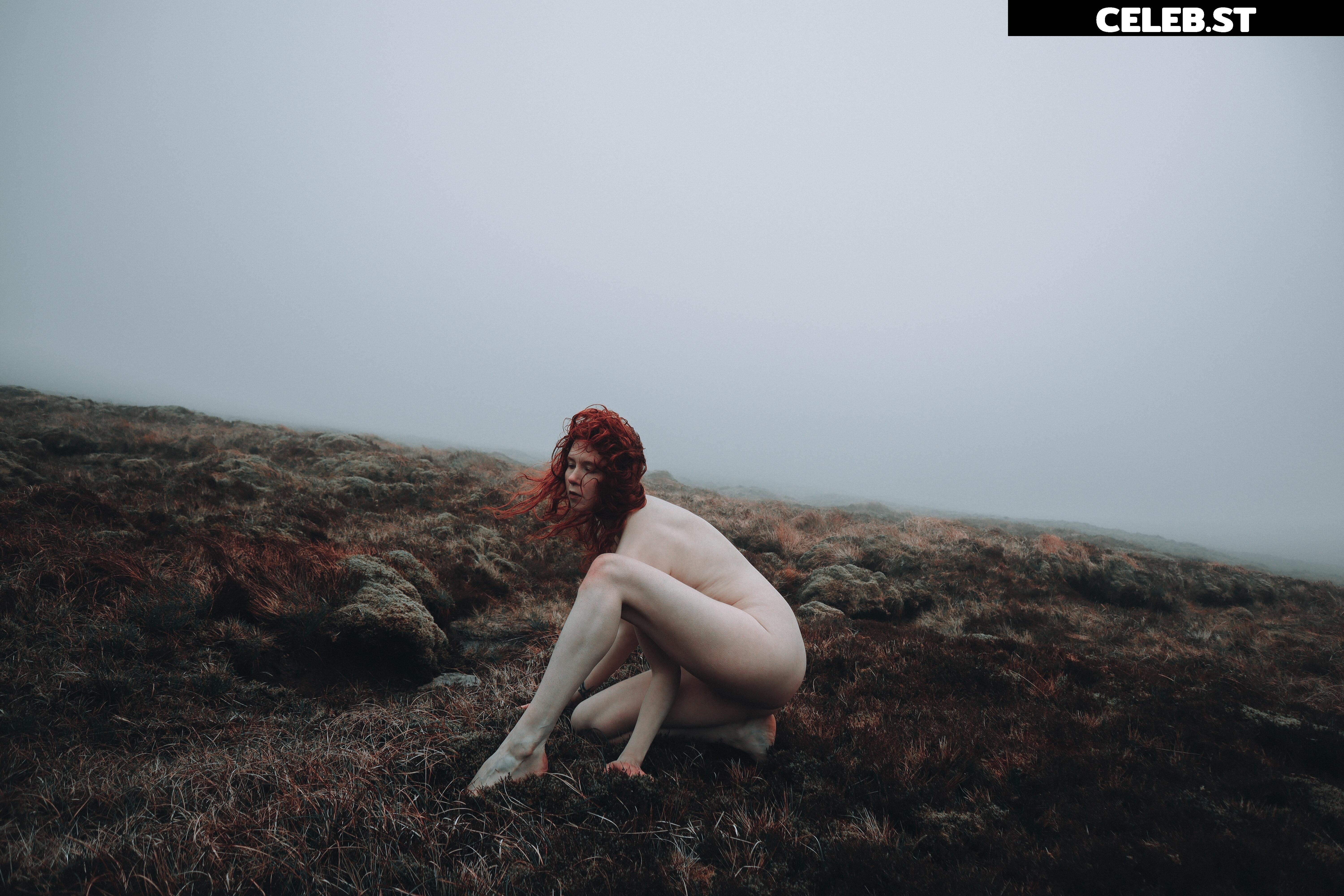 Icelandic Selkie Image 4525301