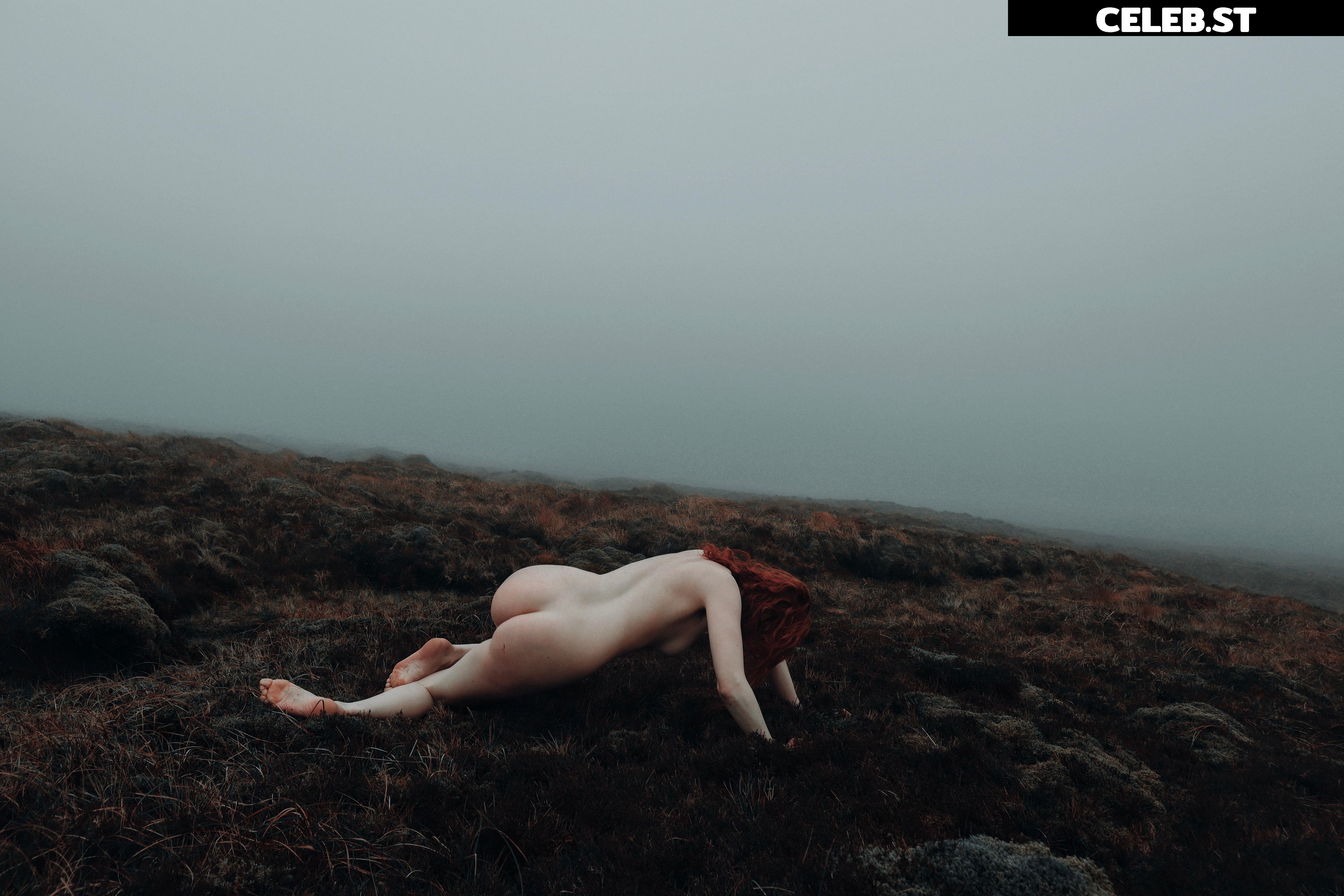 Icelandic Selkie Image 4526480