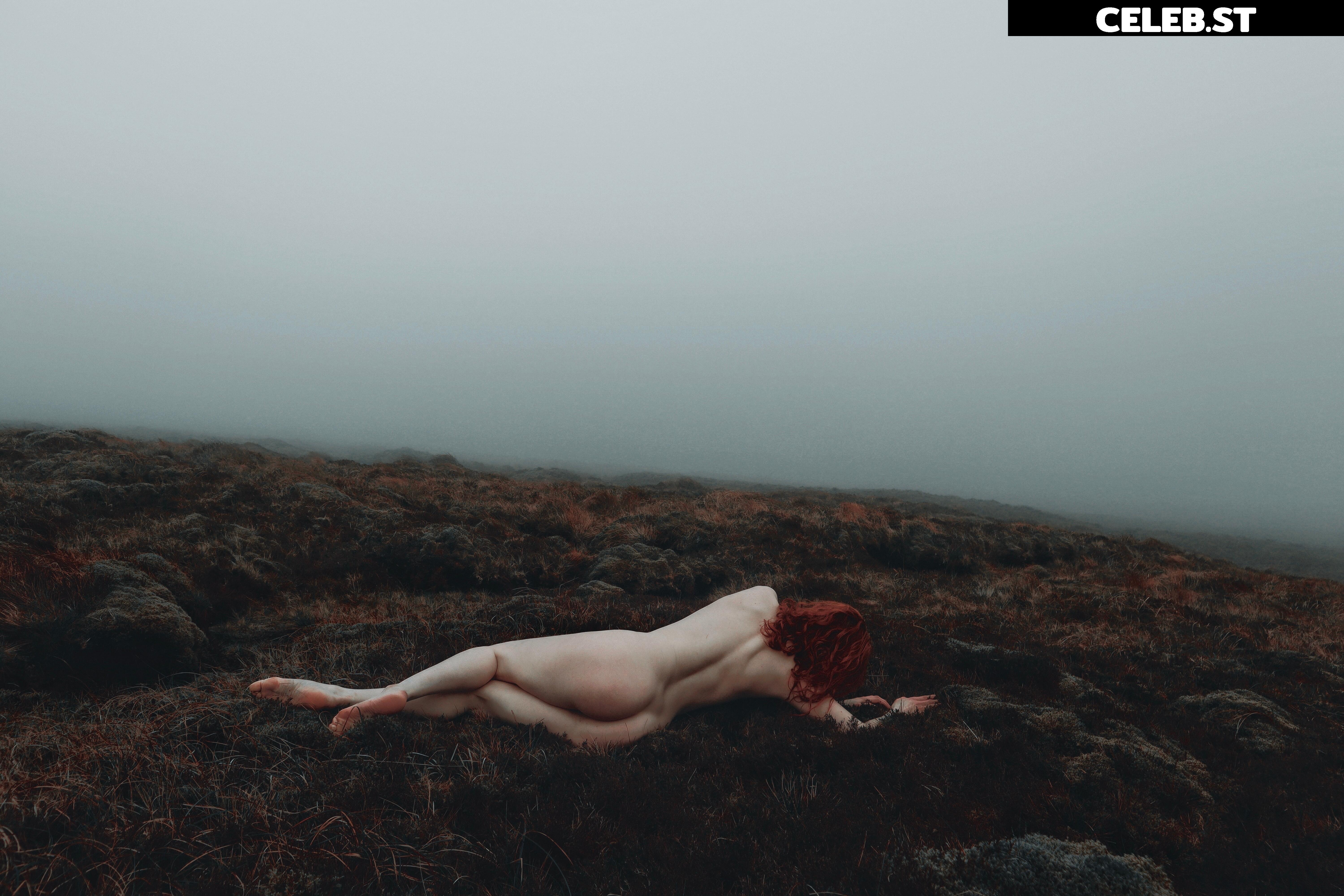 Icelandic Selkie Image 4526294