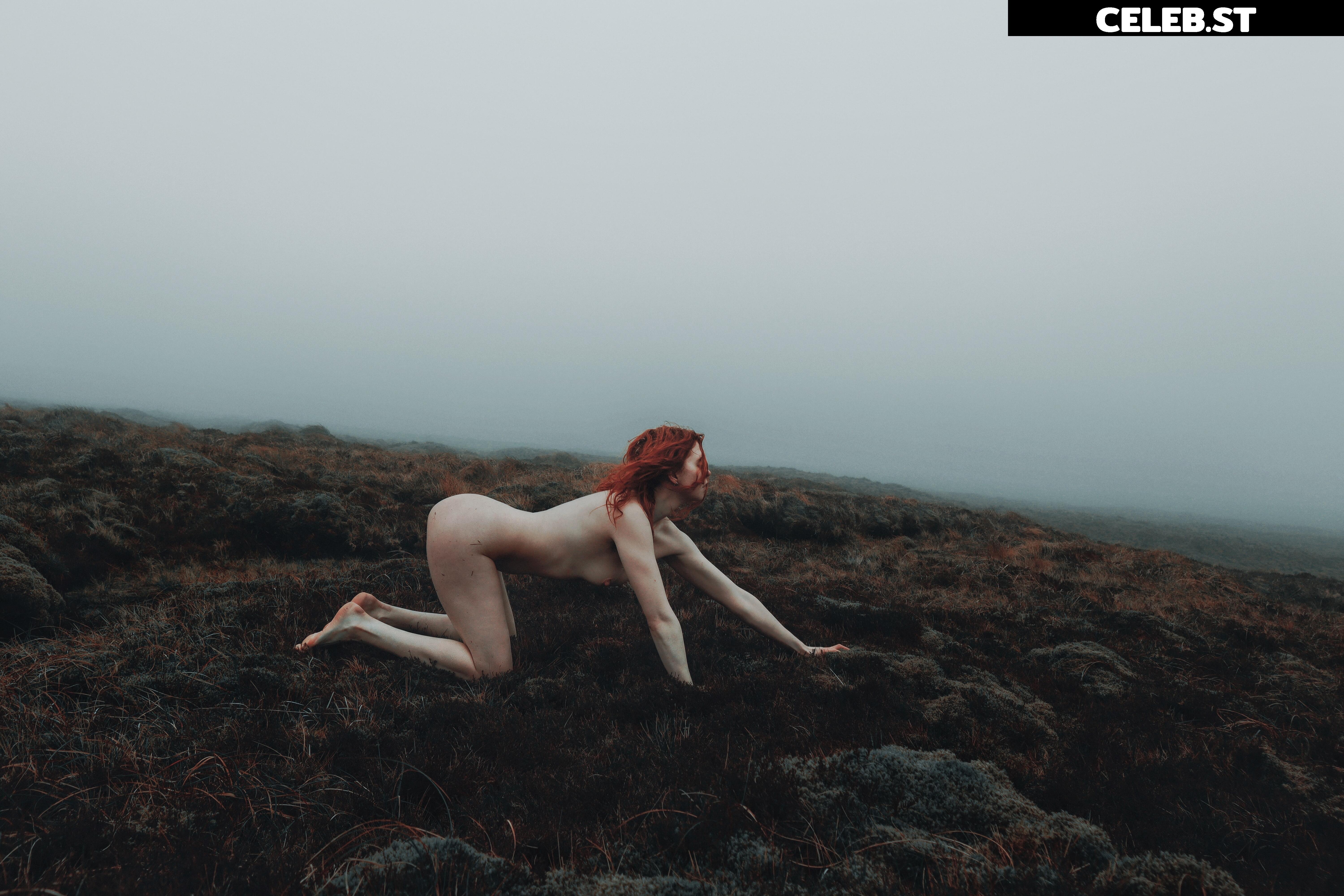 Icelandic Selkie Image 4527549