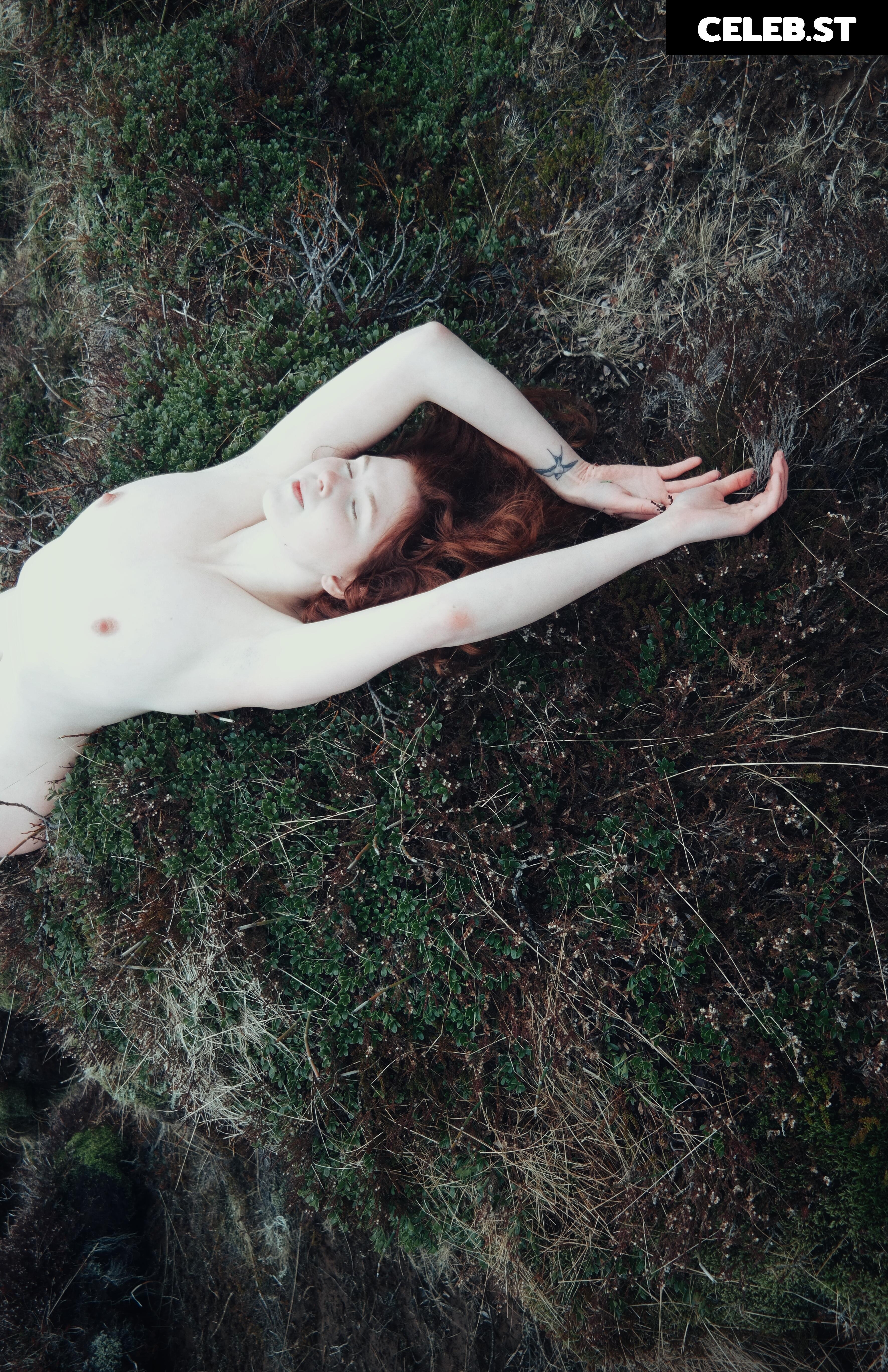 Icelandic Selkie Image 4524119