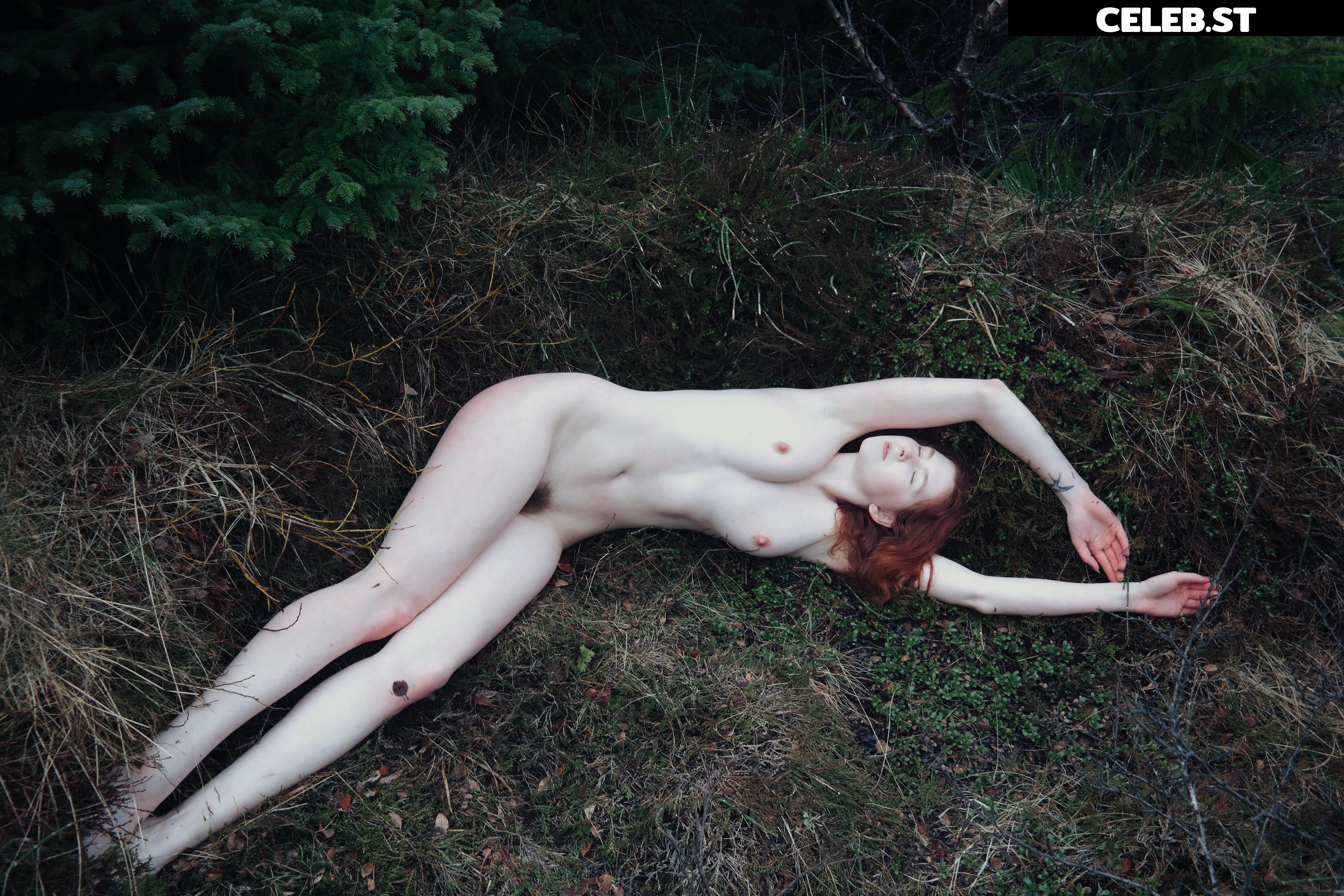 Icelandic Selkie Image 4521898