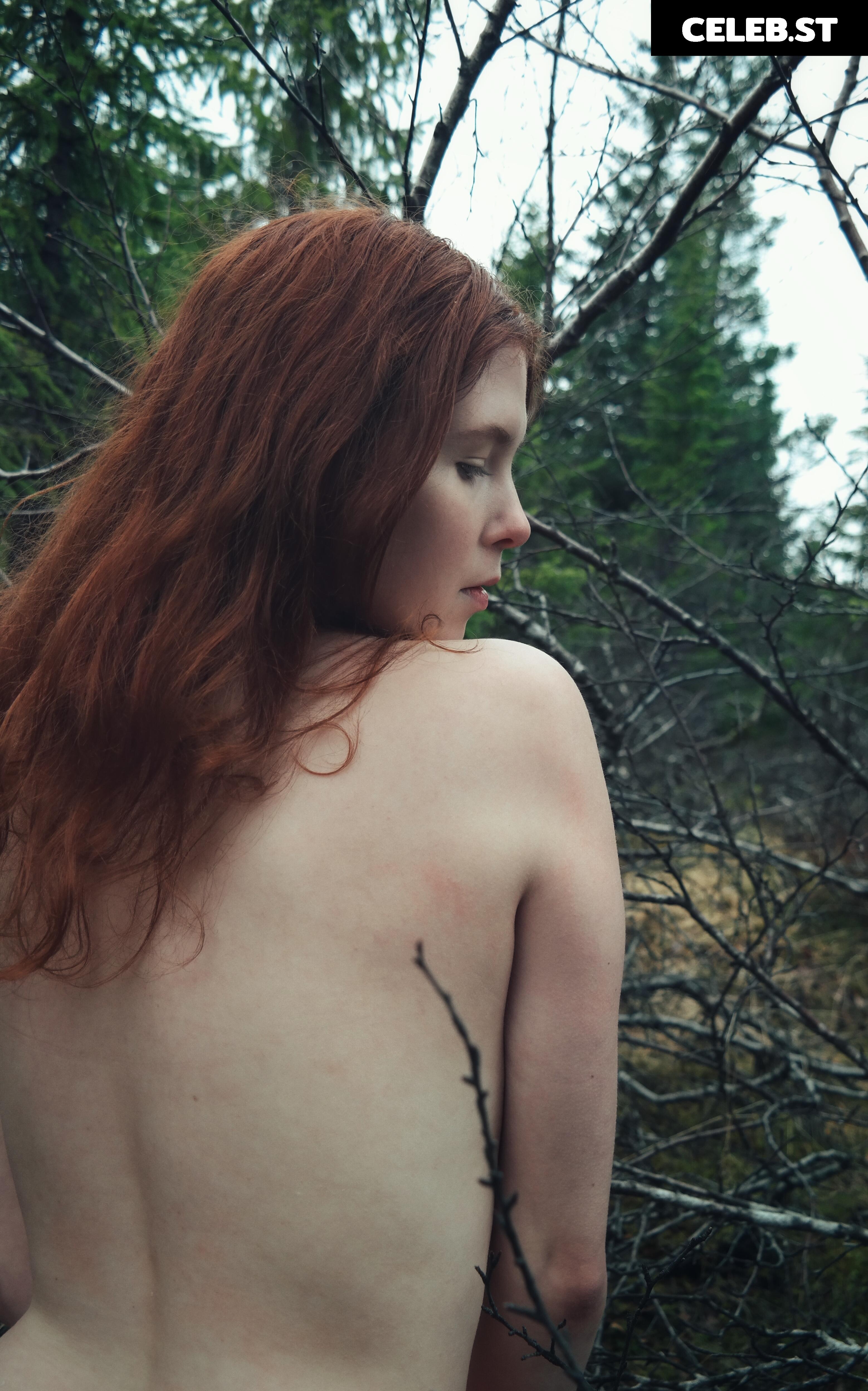 Icelandic Selkie Image 4523921