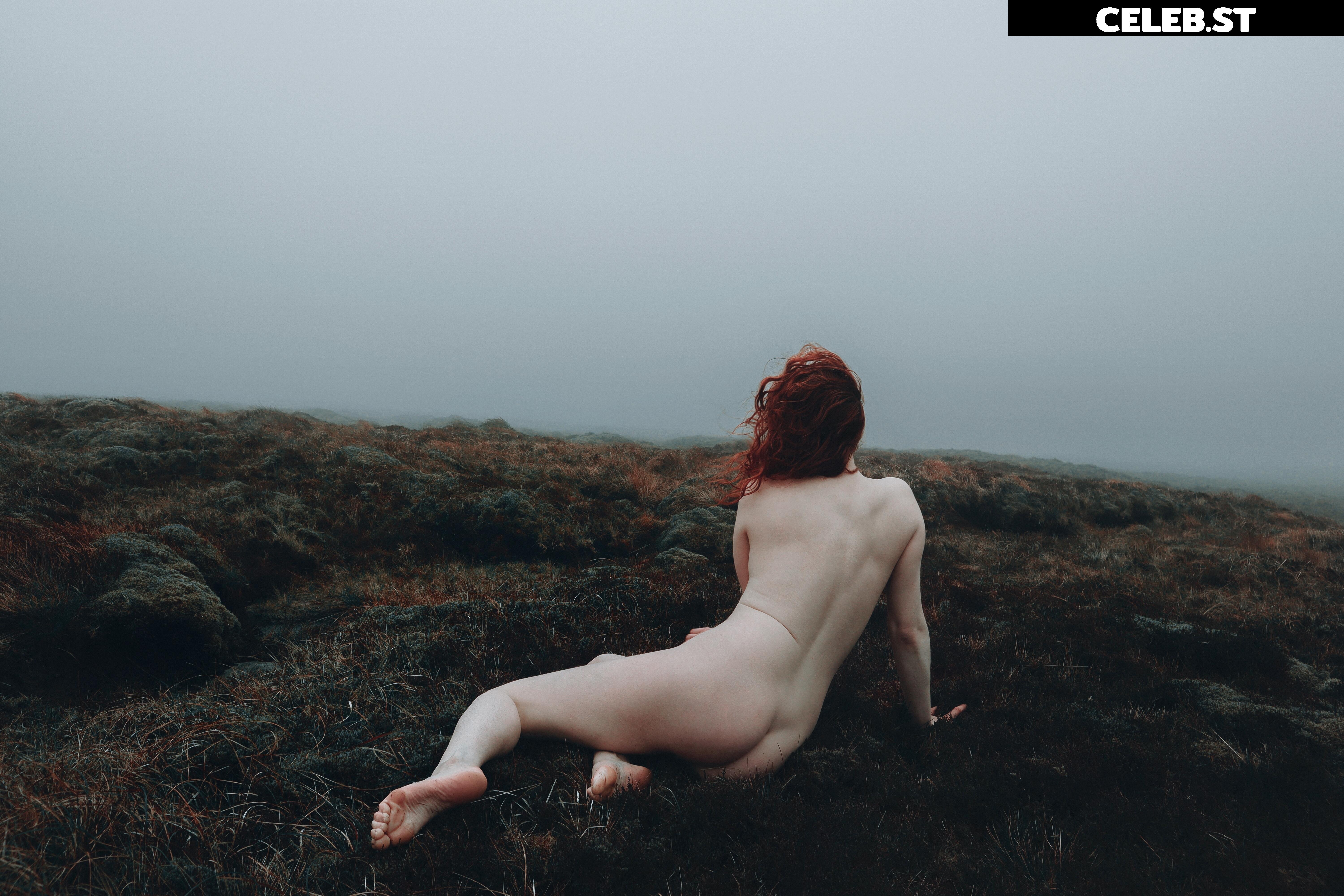 Icelandic Selkie Image 4528212