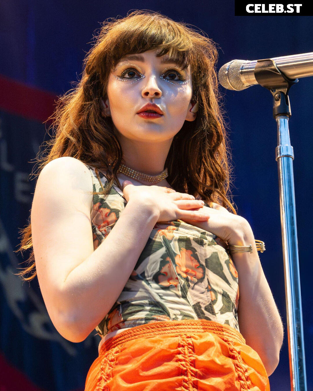 Lauren Mayberry (Singer) Image 4505721