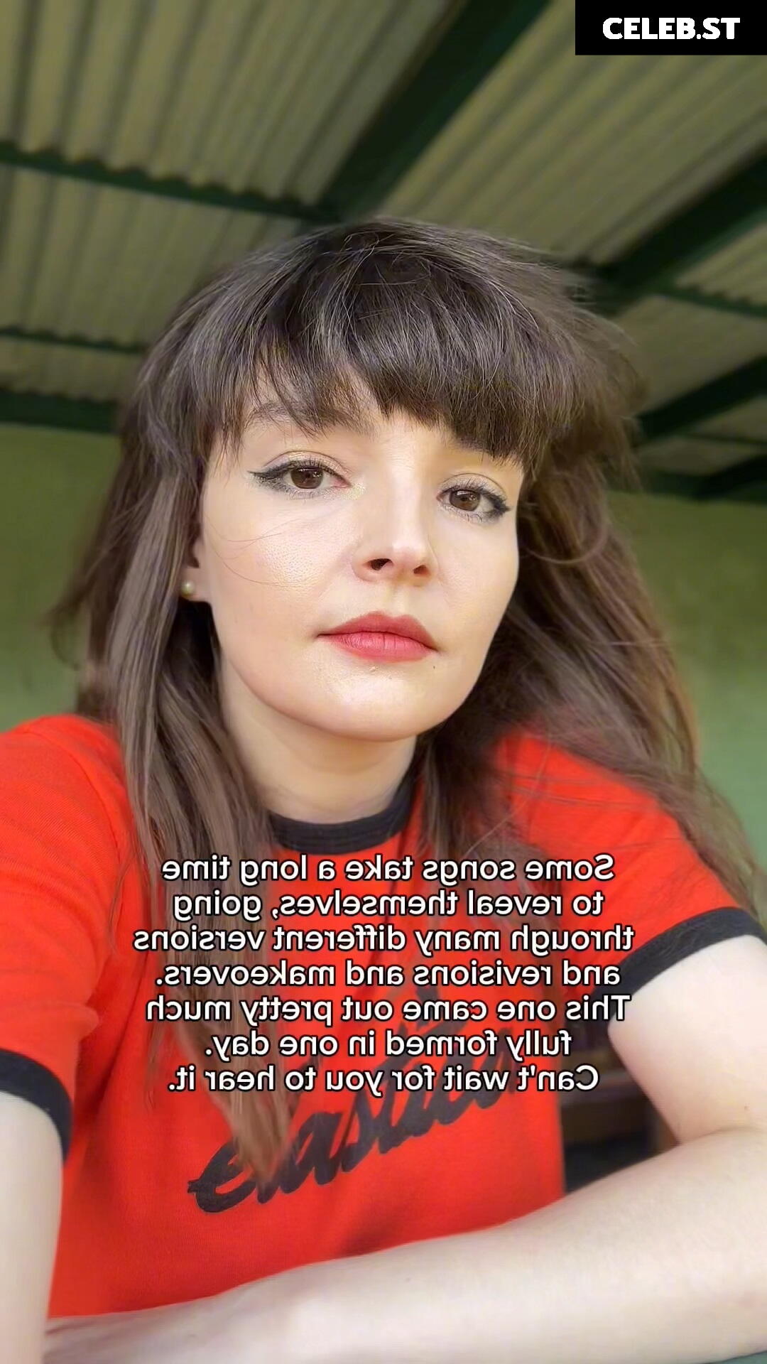 Lauren Mayberry (Singer) Image 4506083