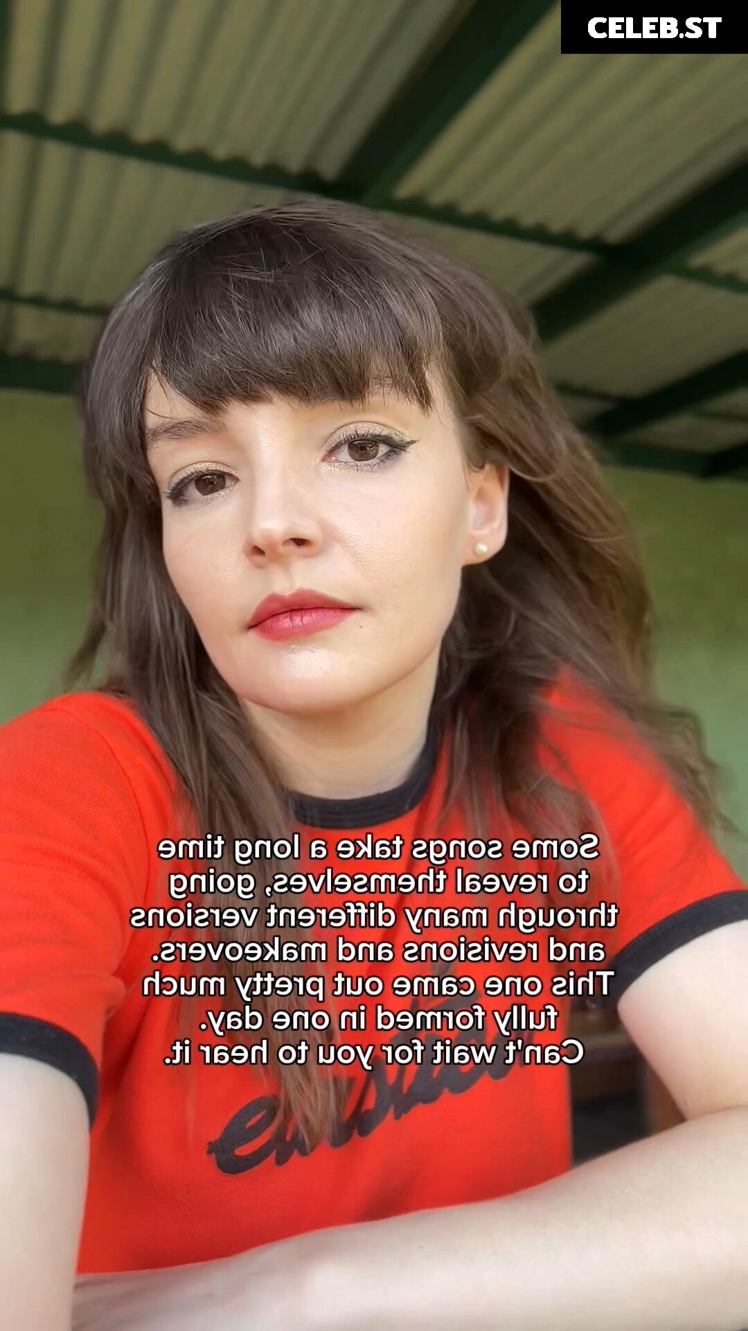 Lauren Mayberry (Singer) Image 4506312