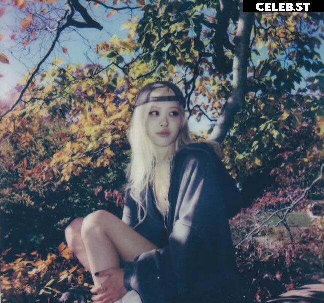 Rosé || Roseanne Park - BLΛƆKPIИK ( BLACKPINK ) Image 4501401