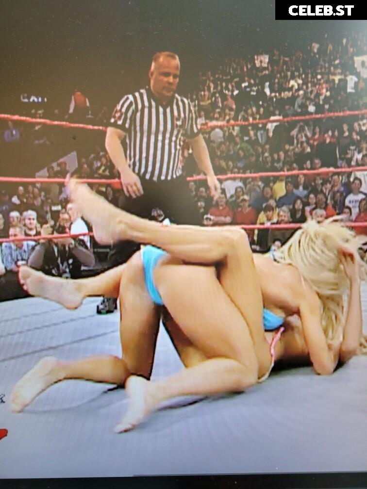 WWE Torrie Wilson Image 4502756