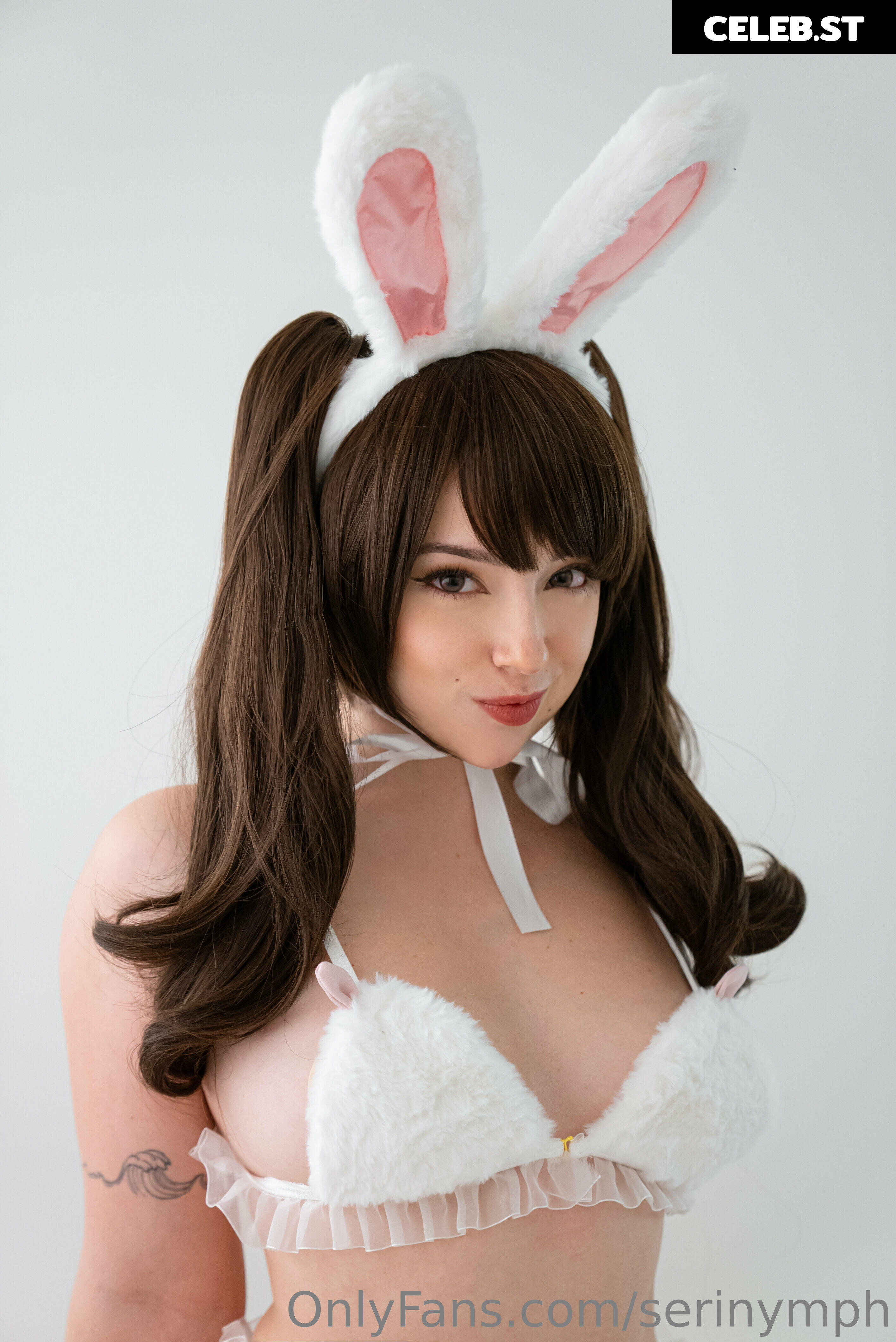 Serinide Image 4502760