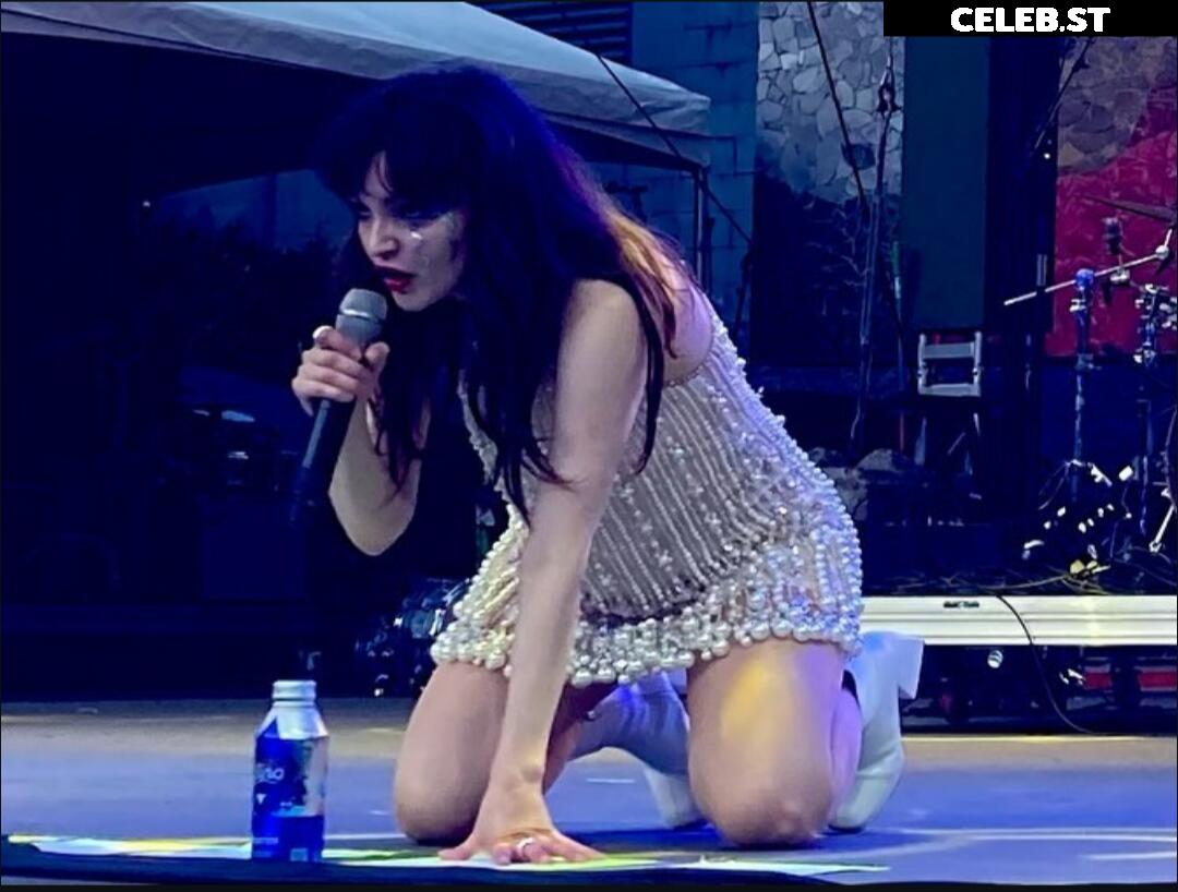 Lauren Mayberry (Singer) Image 4503517