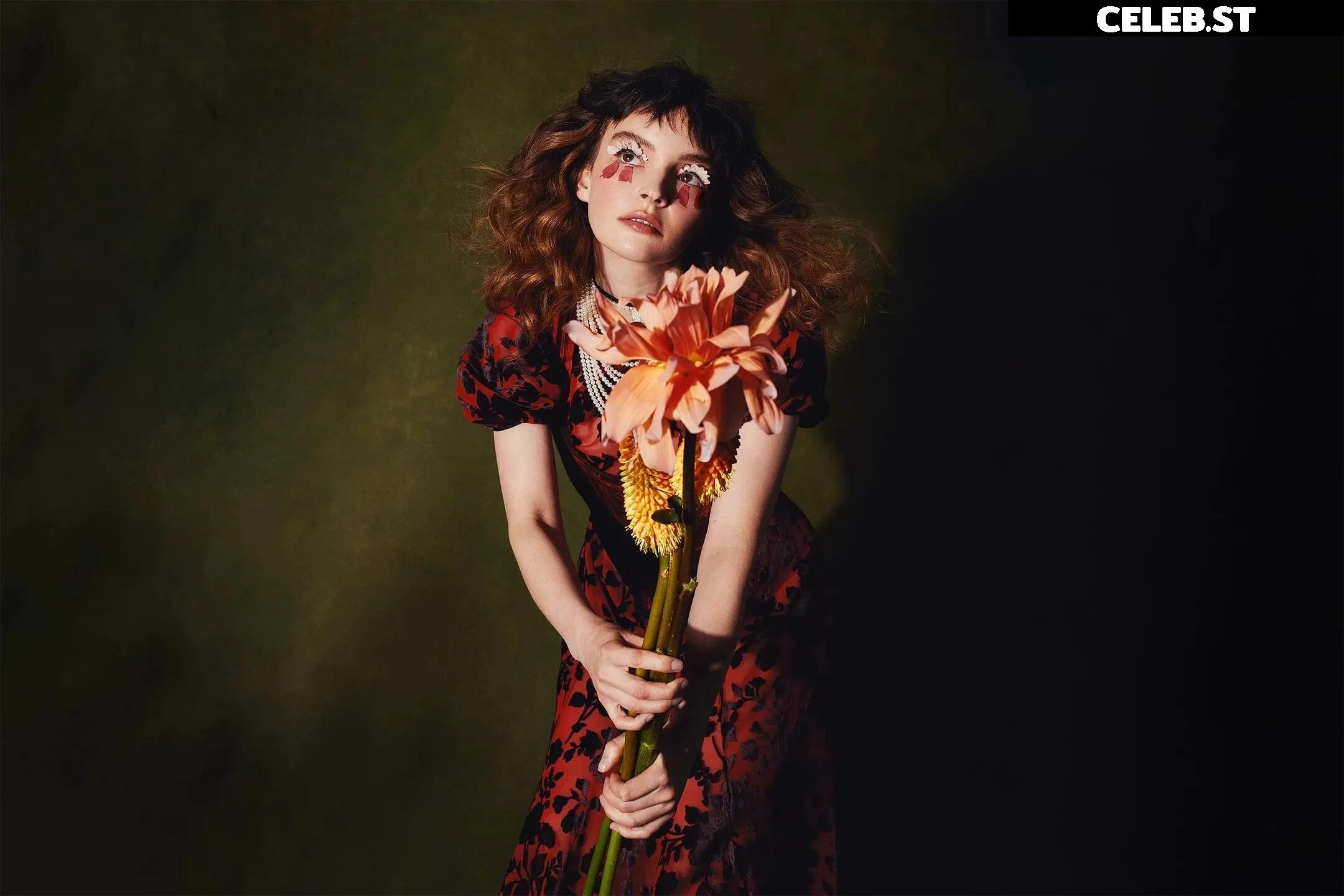Lauren Mayberry (Singer) Image 4503025